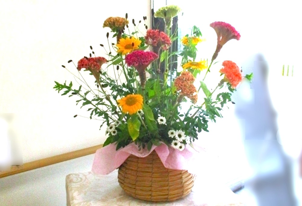 今週のお花