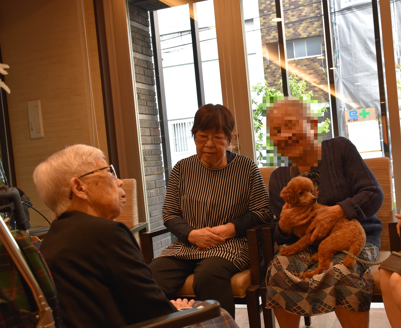 愛犬とのふれあいイベント