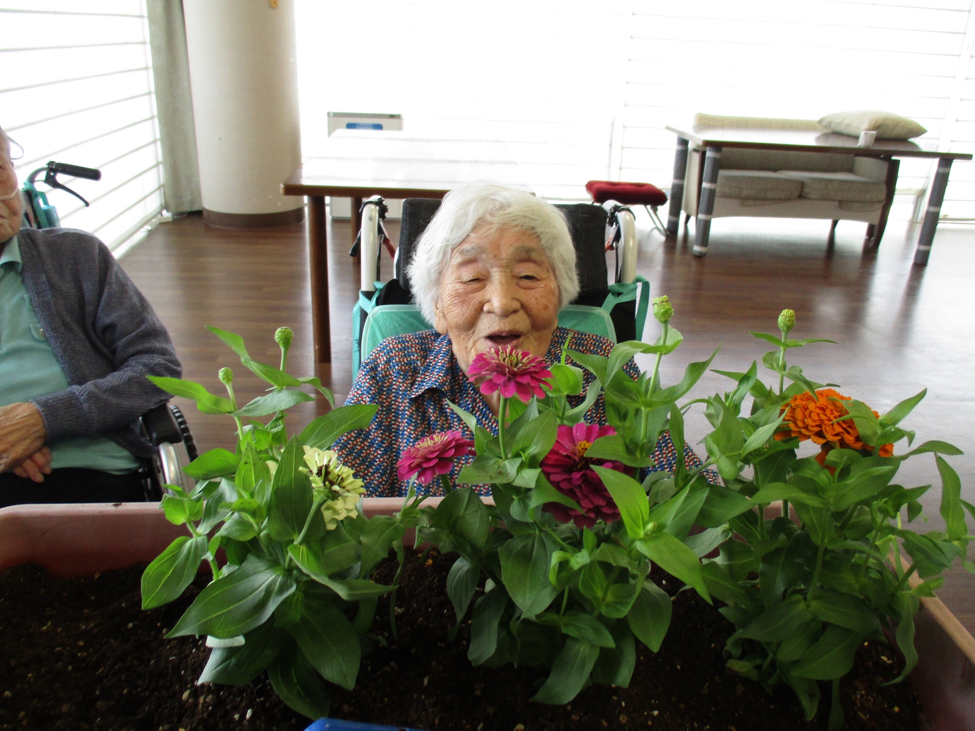 花の植え付け