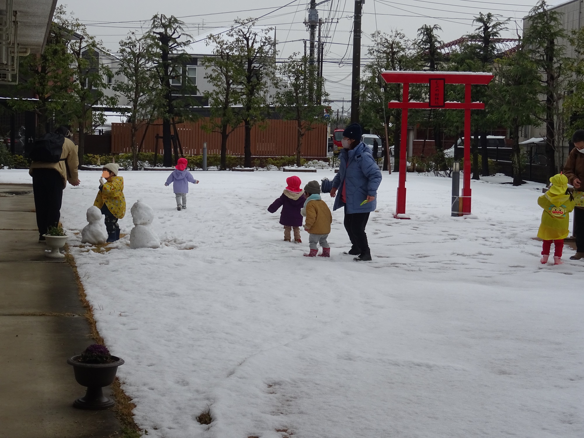初雪