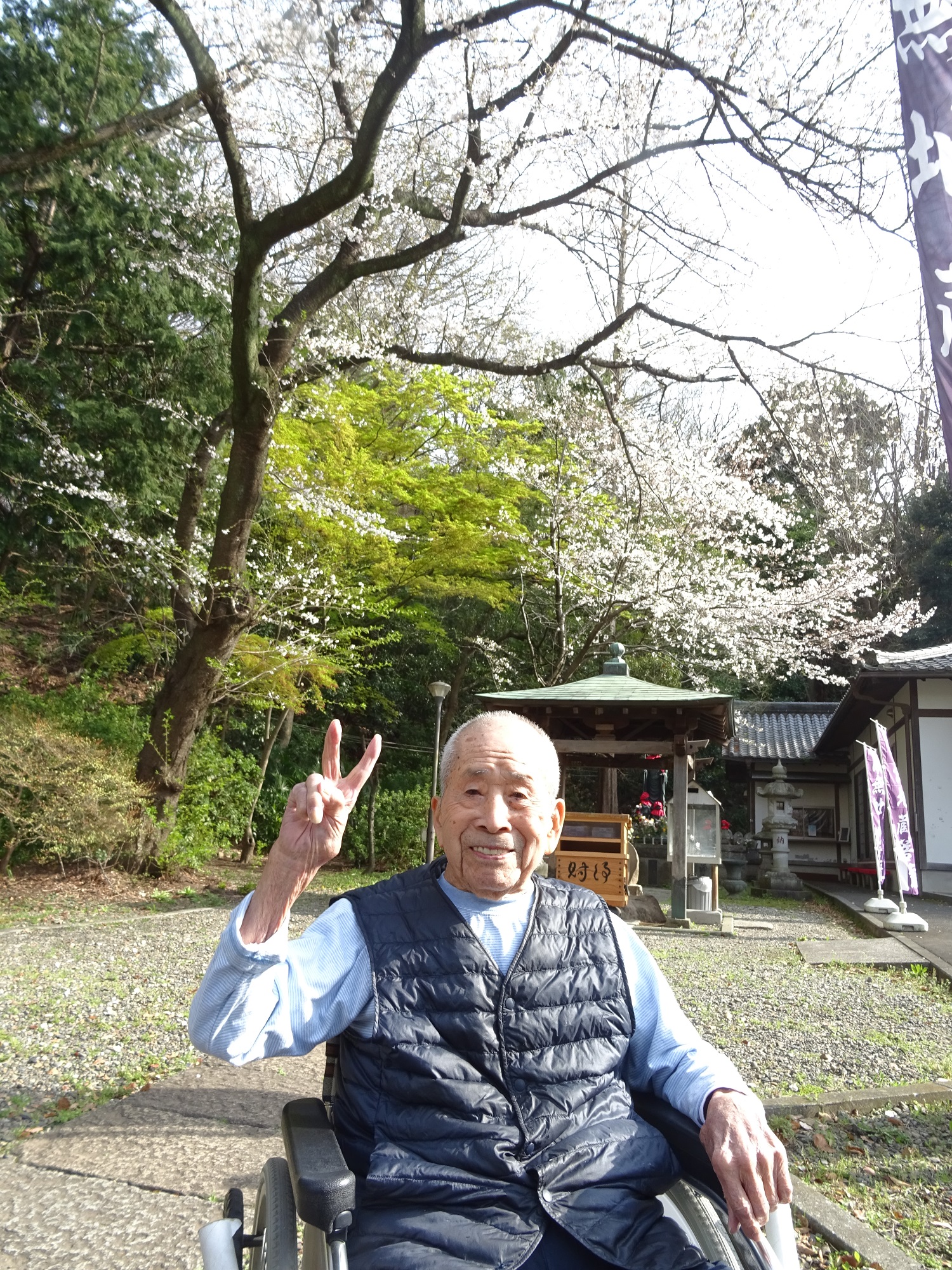 お花見