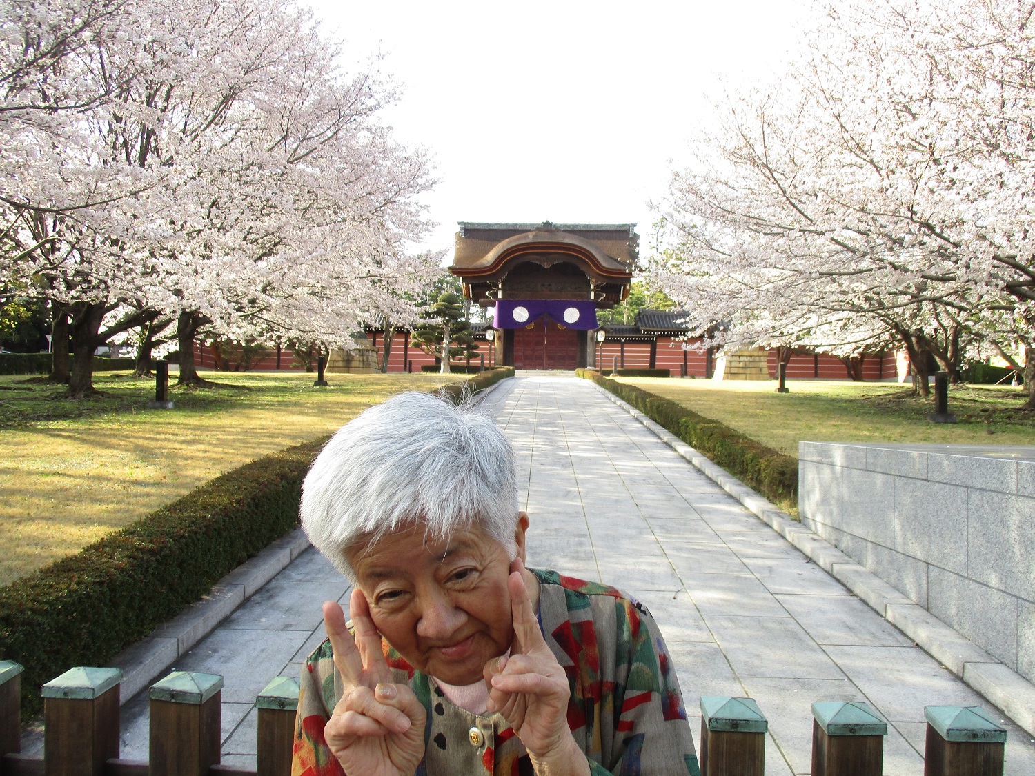 お花見