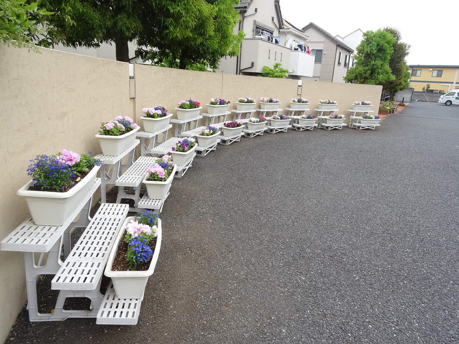 花の植え替え