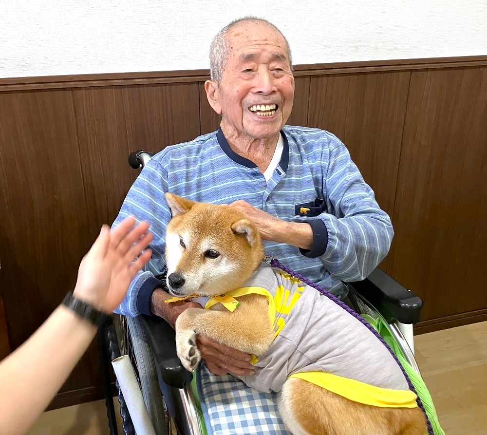 アニマルセラピー