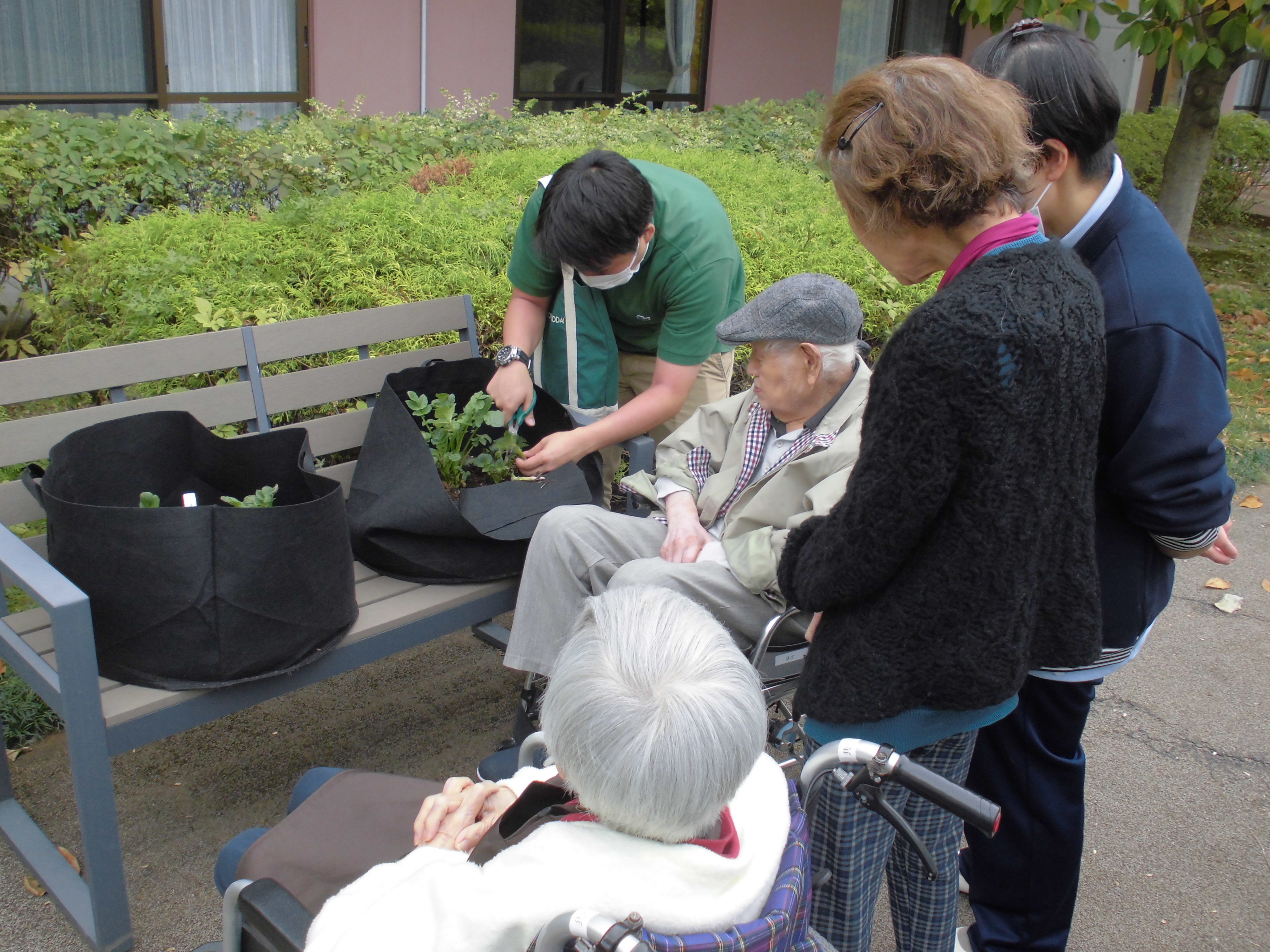 園芸療法(中庭編)