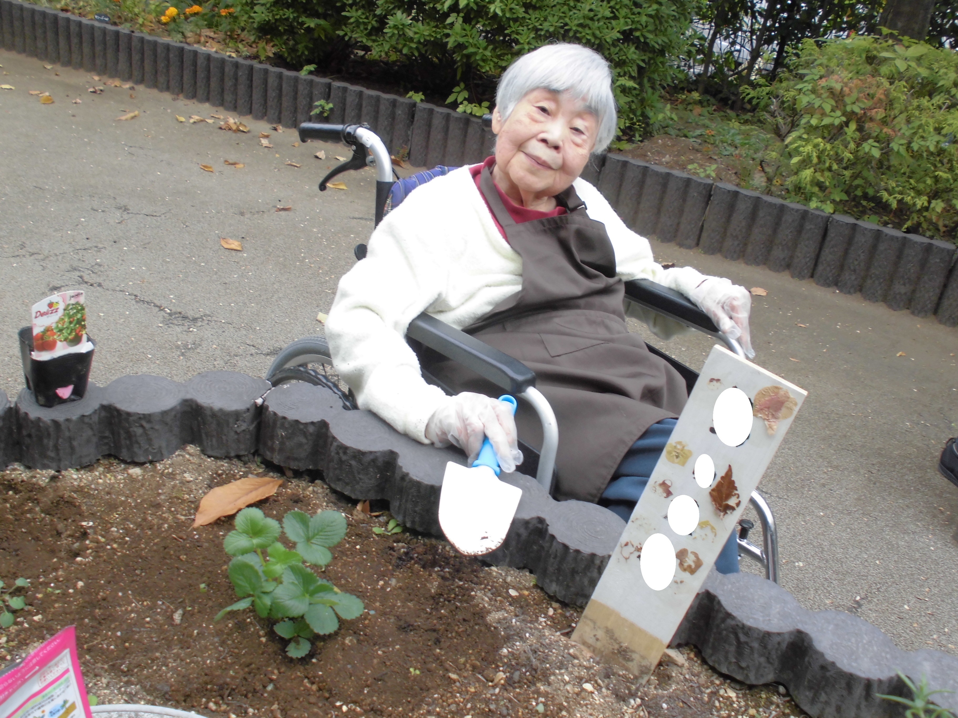 園芸療法（中庭編）