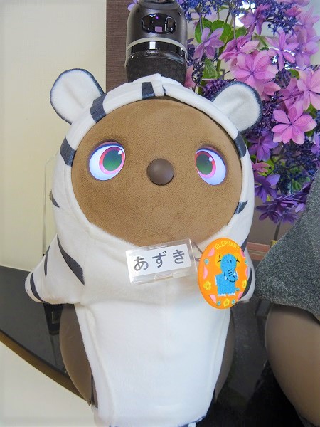 「あずき」と「きなこ」の衣装が加わりました