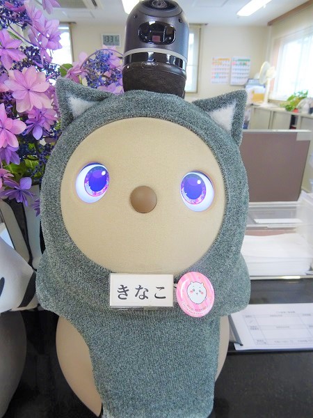 「あずき」と「きなこ」の衣装が加わりました
