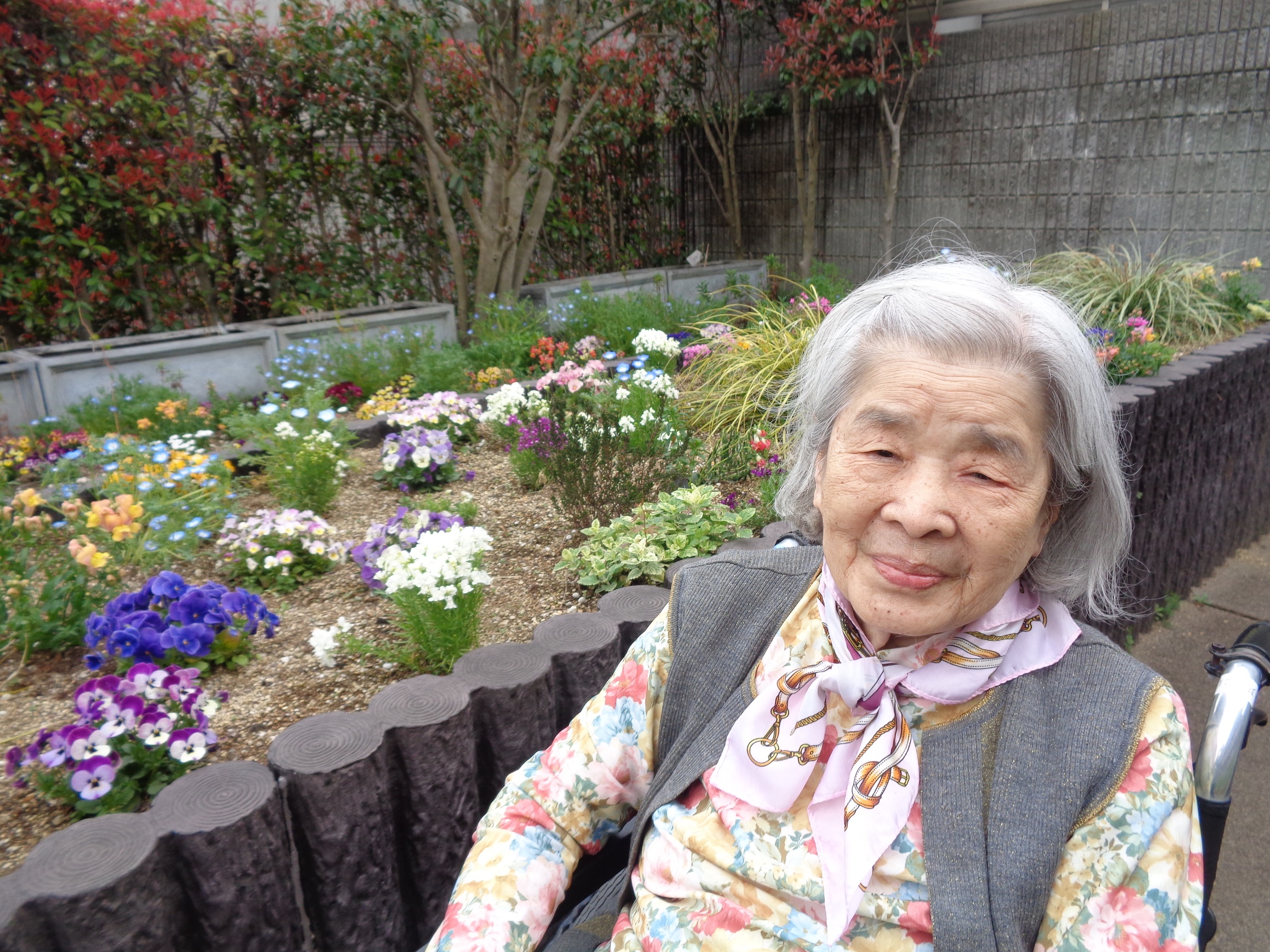 お花見散歩
