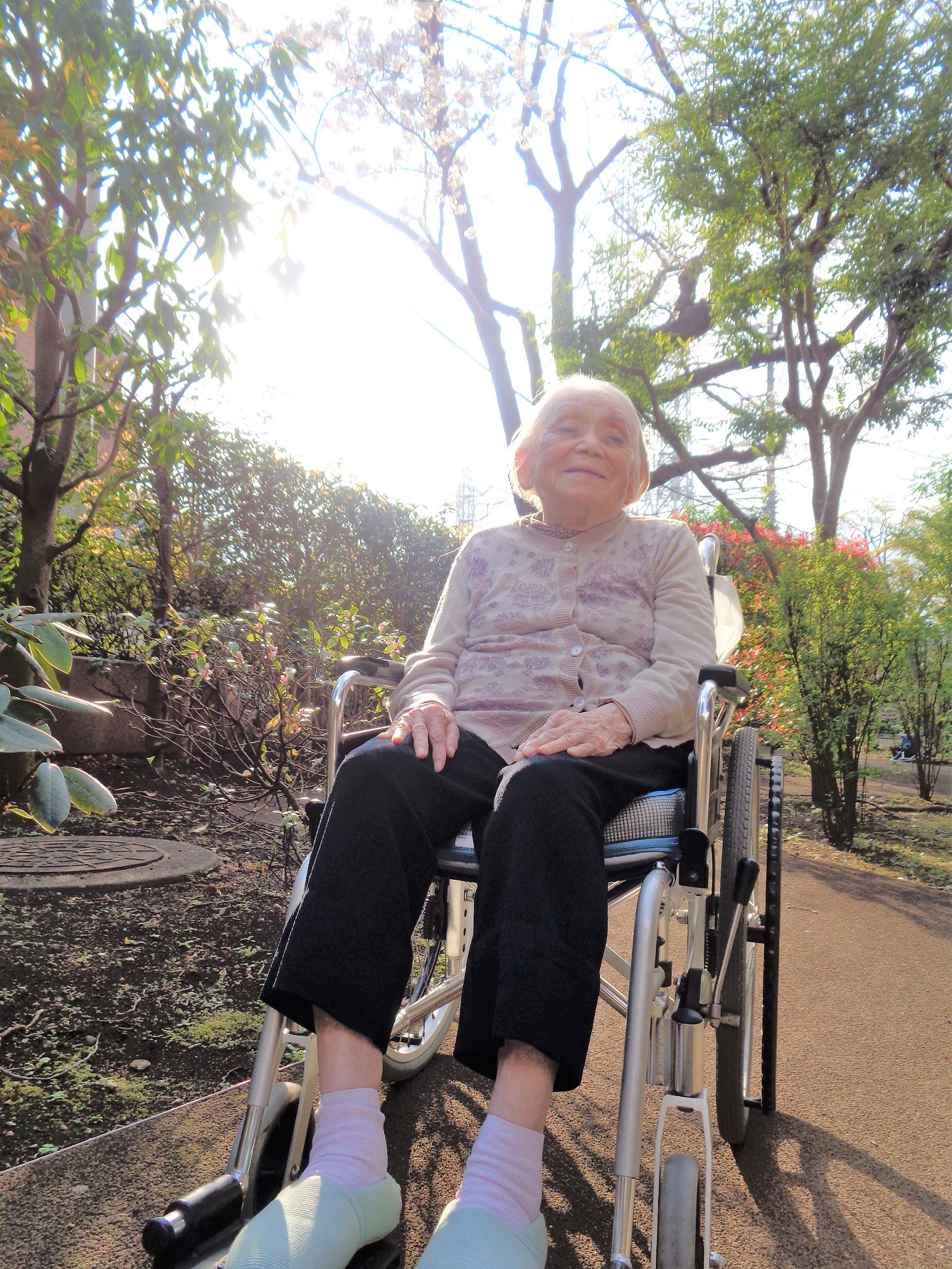 お花見散歩