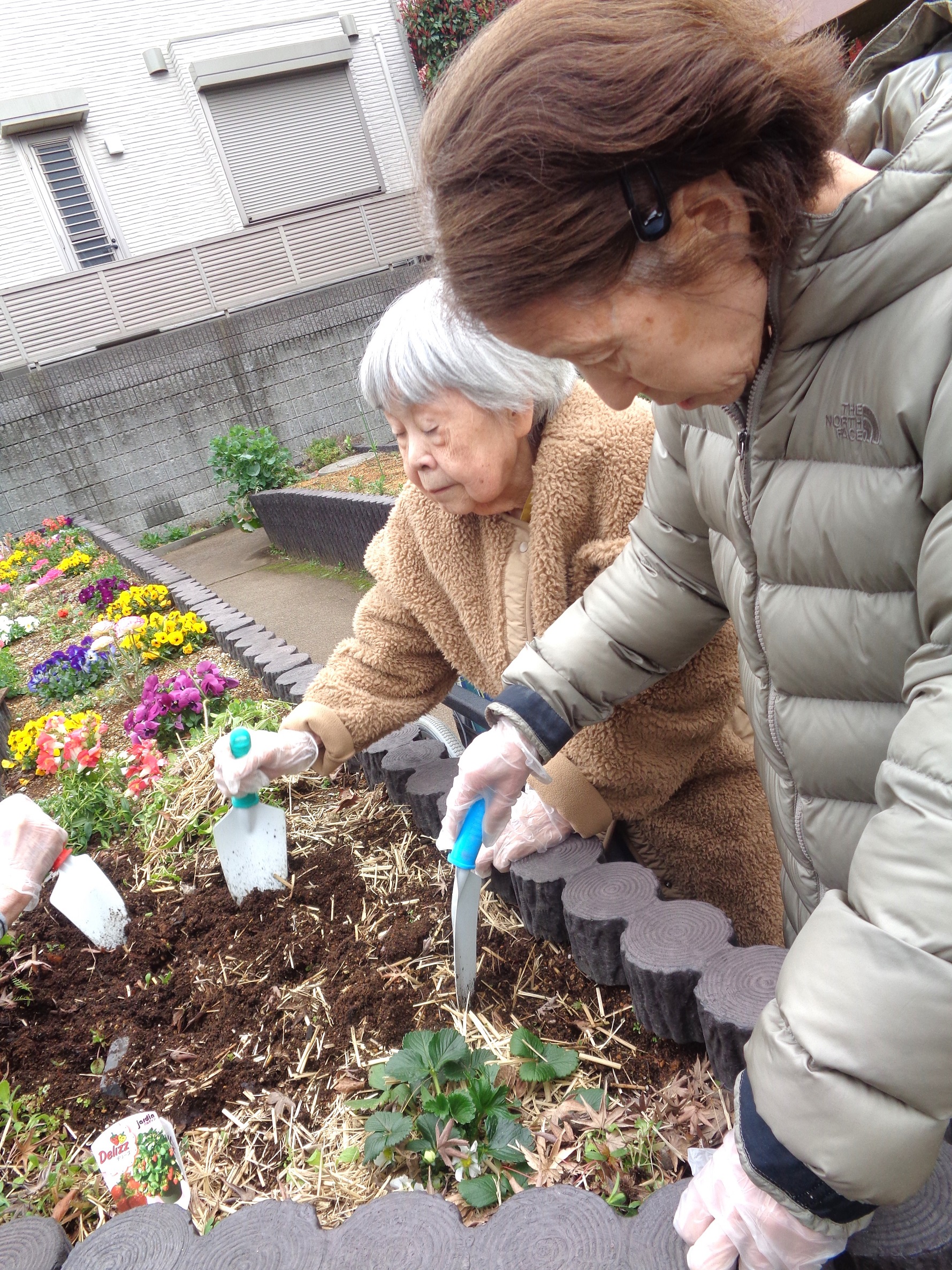 園芸療法