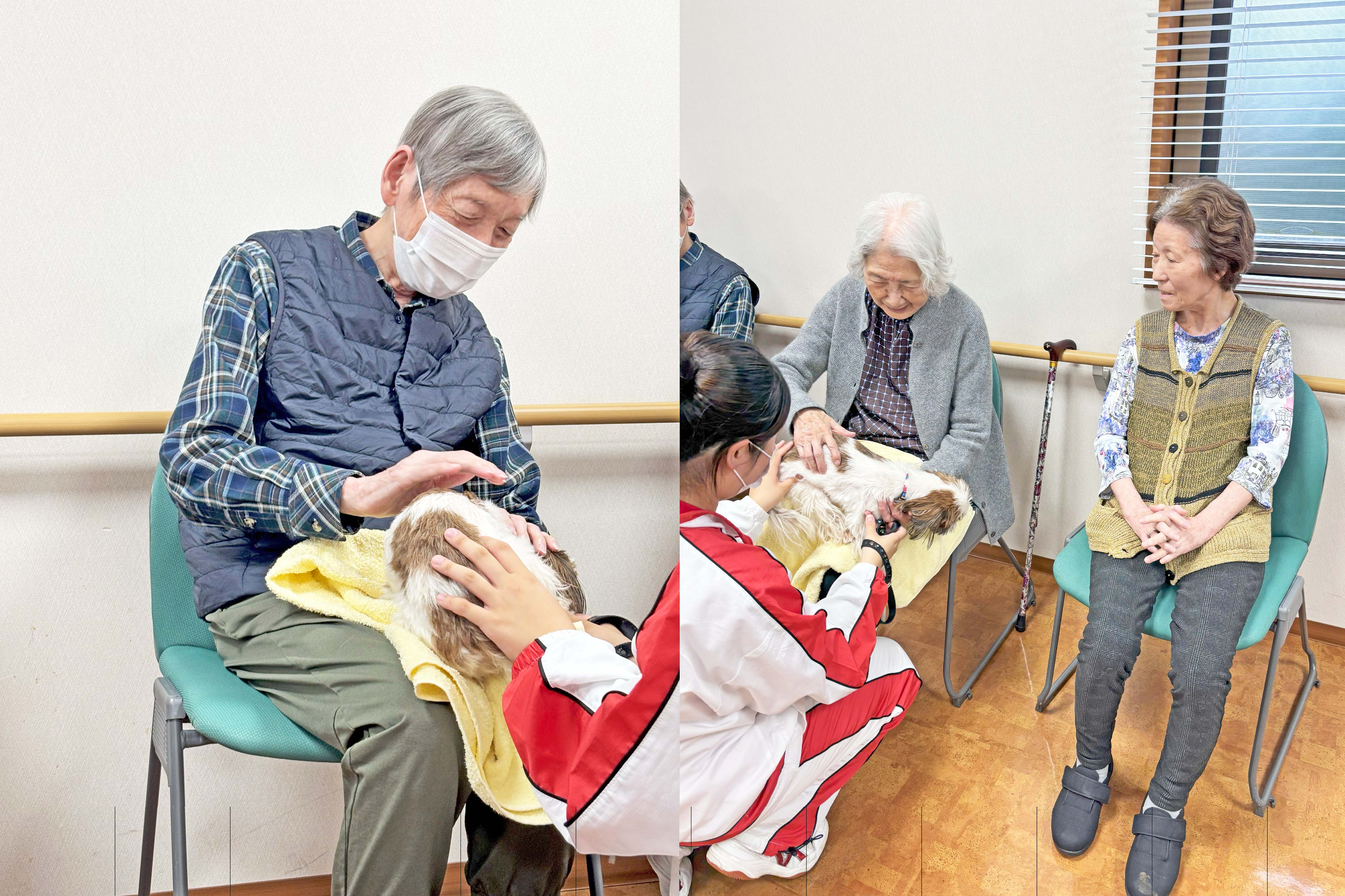 ドッグセラピー