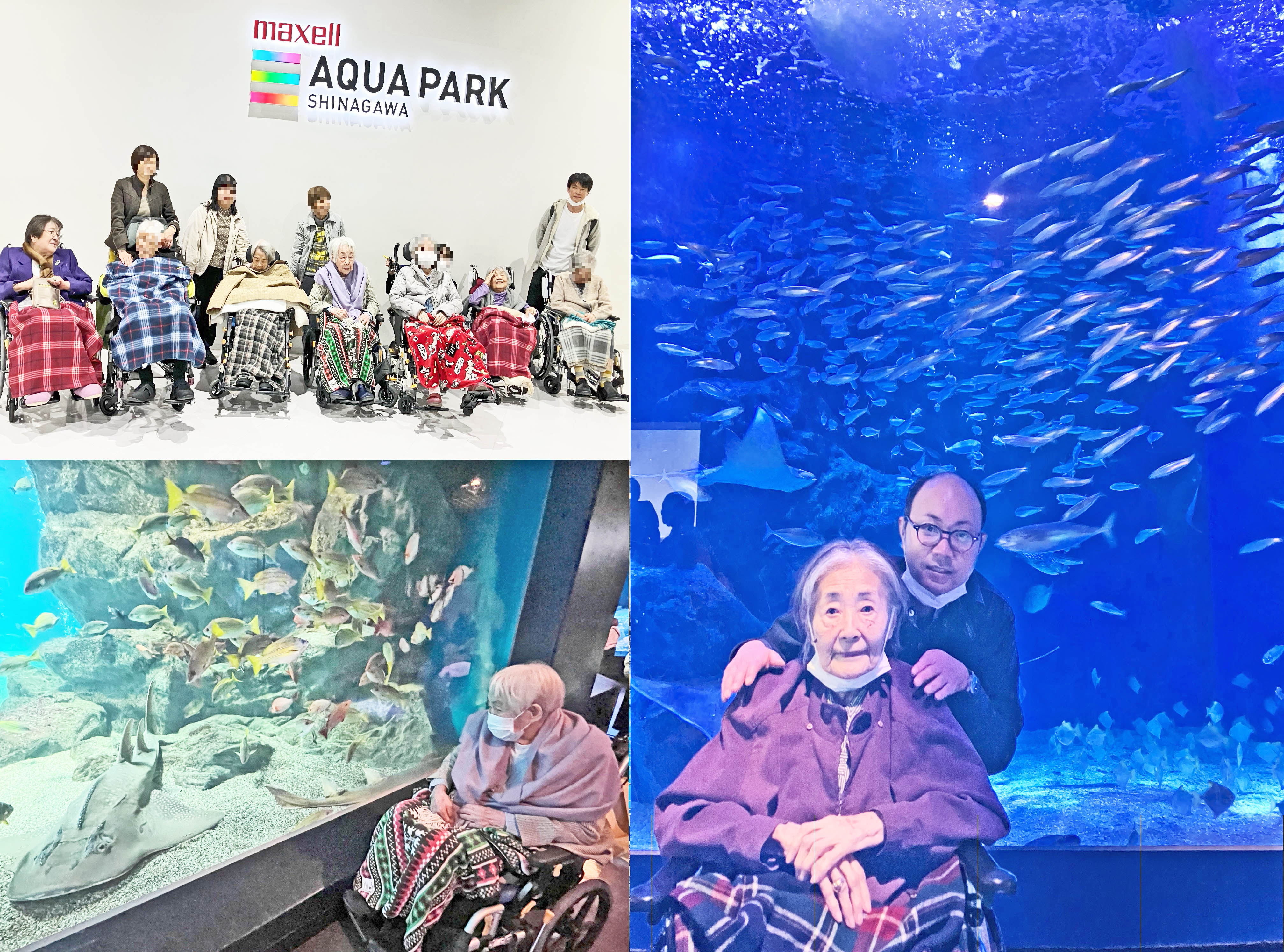 オプショナルツアー～アクアパーク品川～