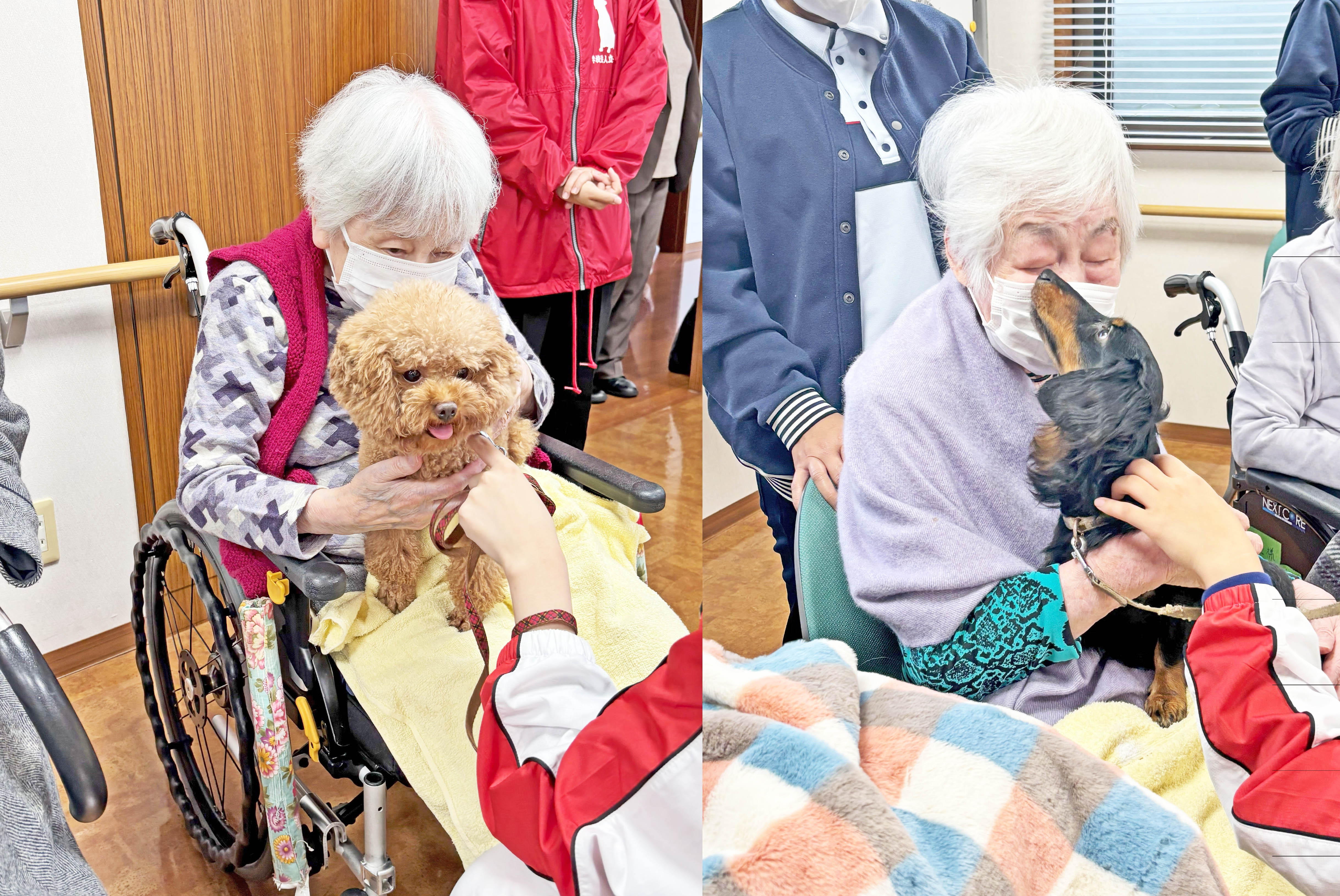 ドッグセラピー