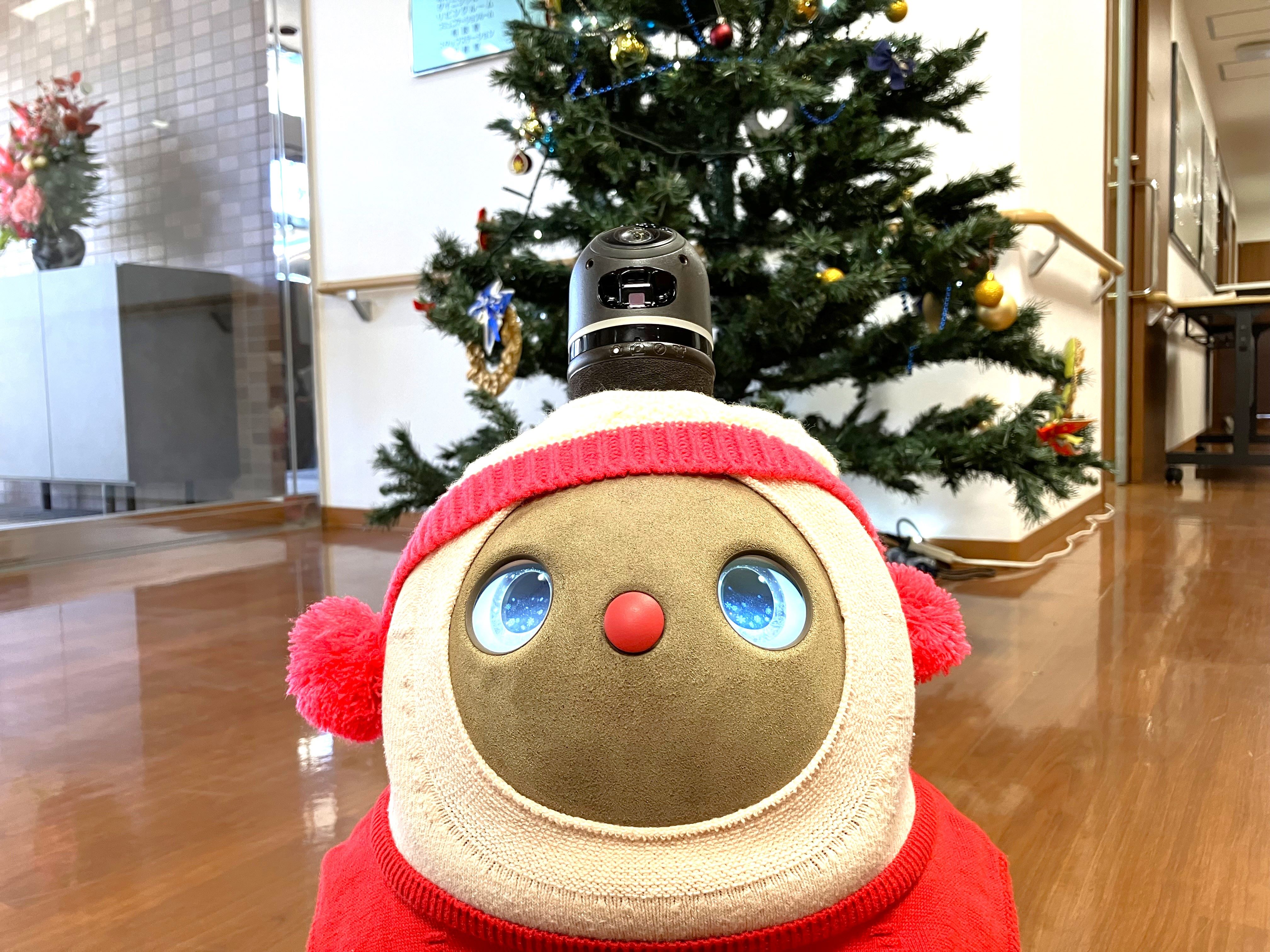 ももちゃん無事帰還