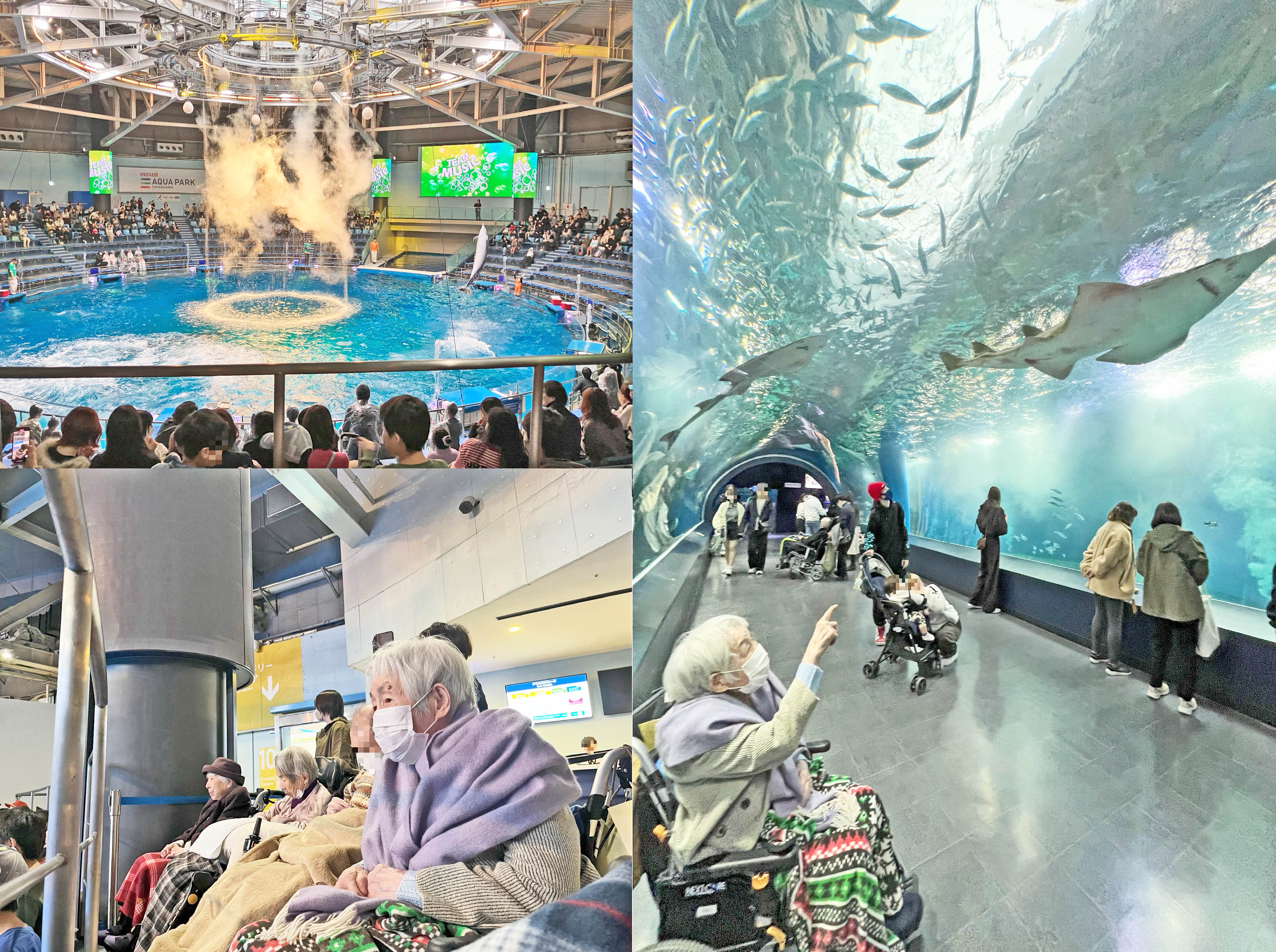 オプショナルツアー～アクアパーク品川～