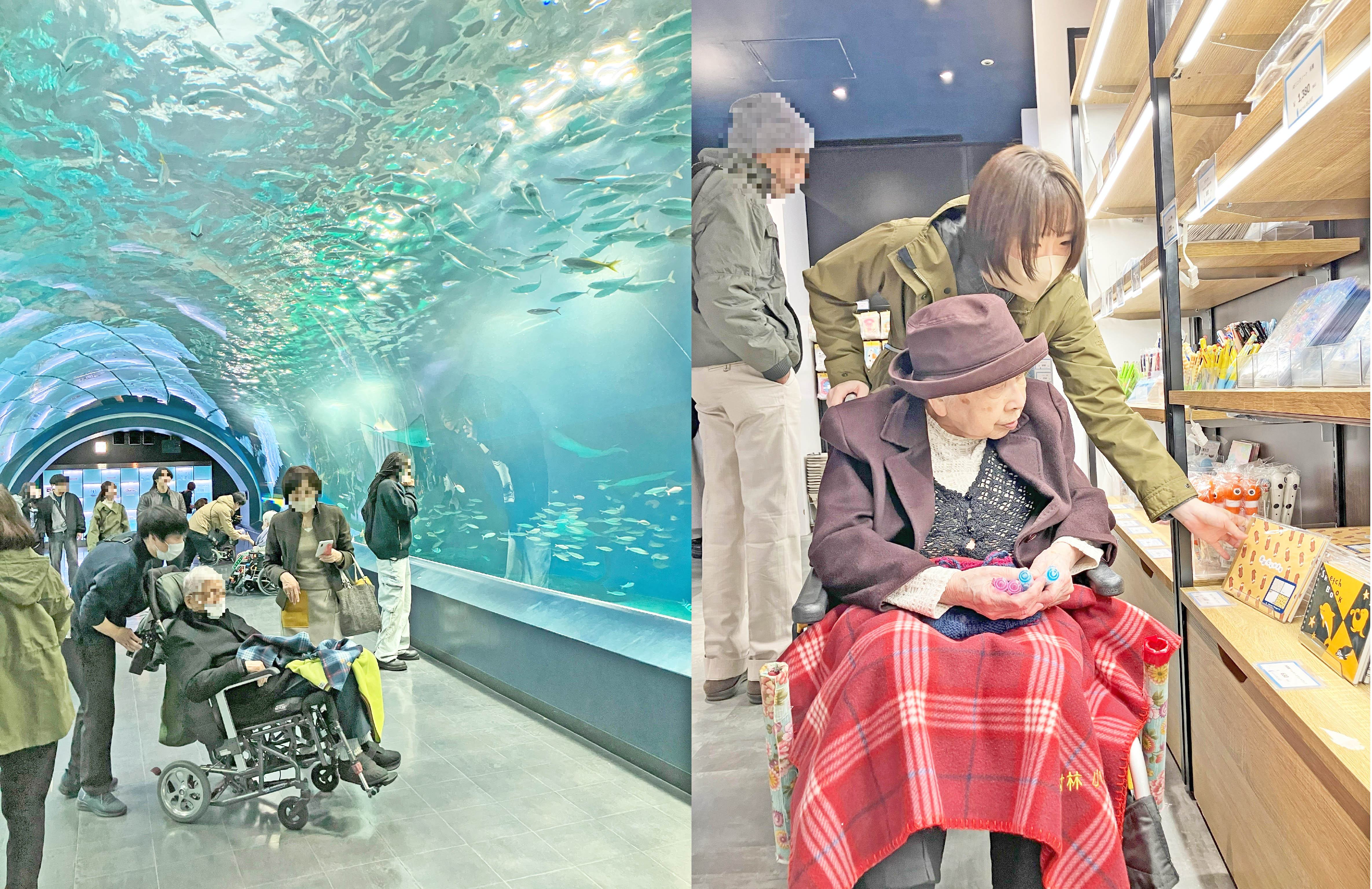 オプショナルツアー～アクアパーク品川～