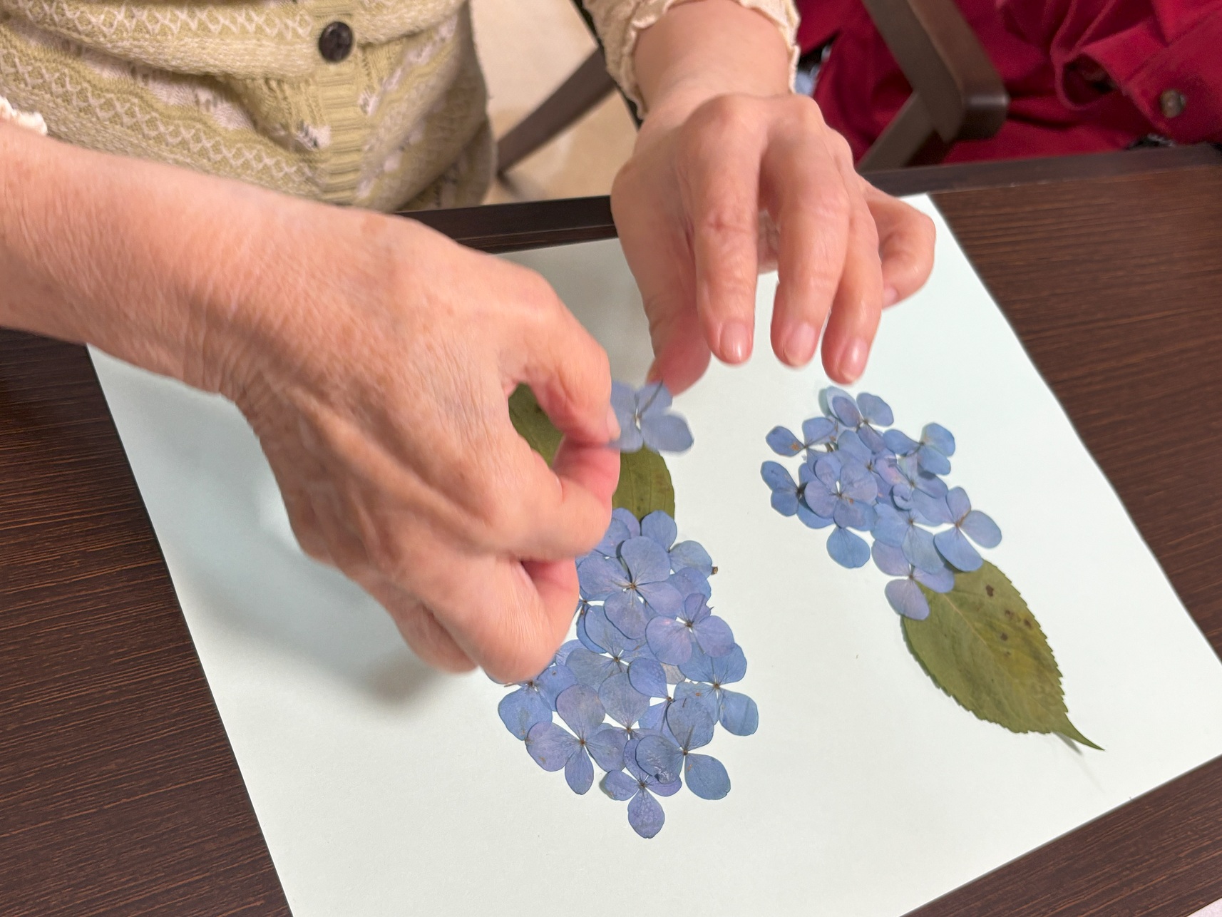 「押し花作り」