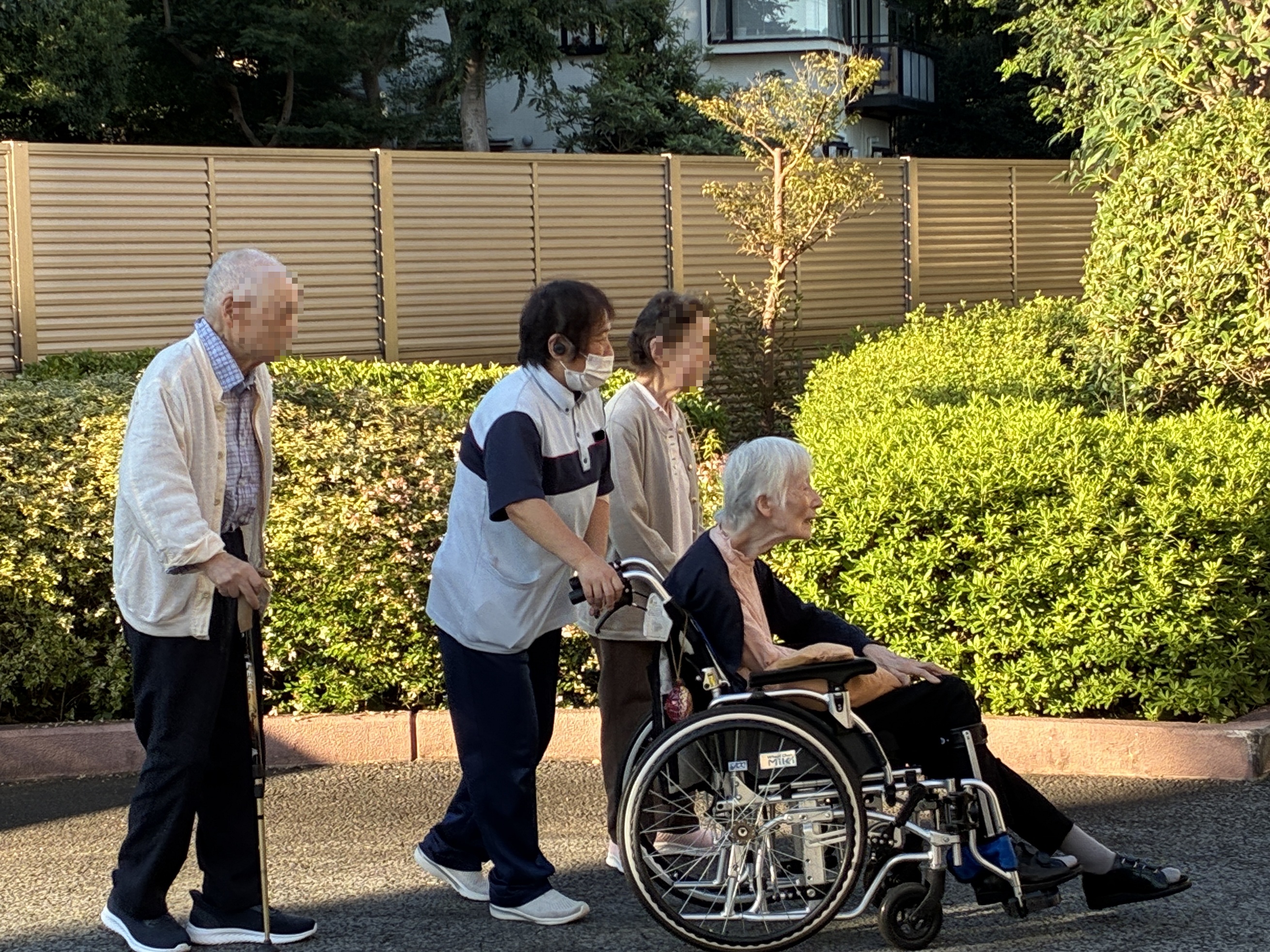 お散歩日和
