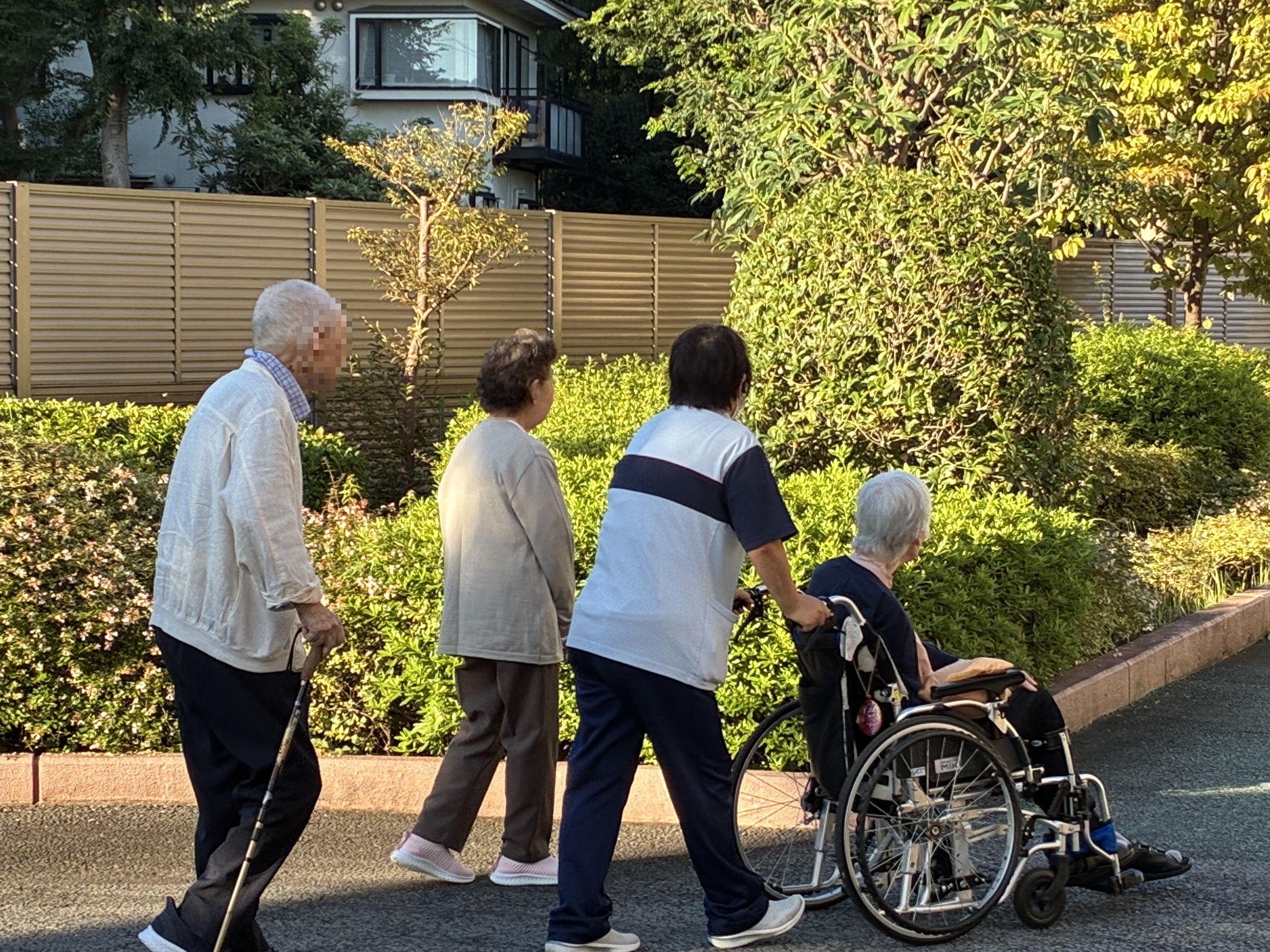 お散歩日和