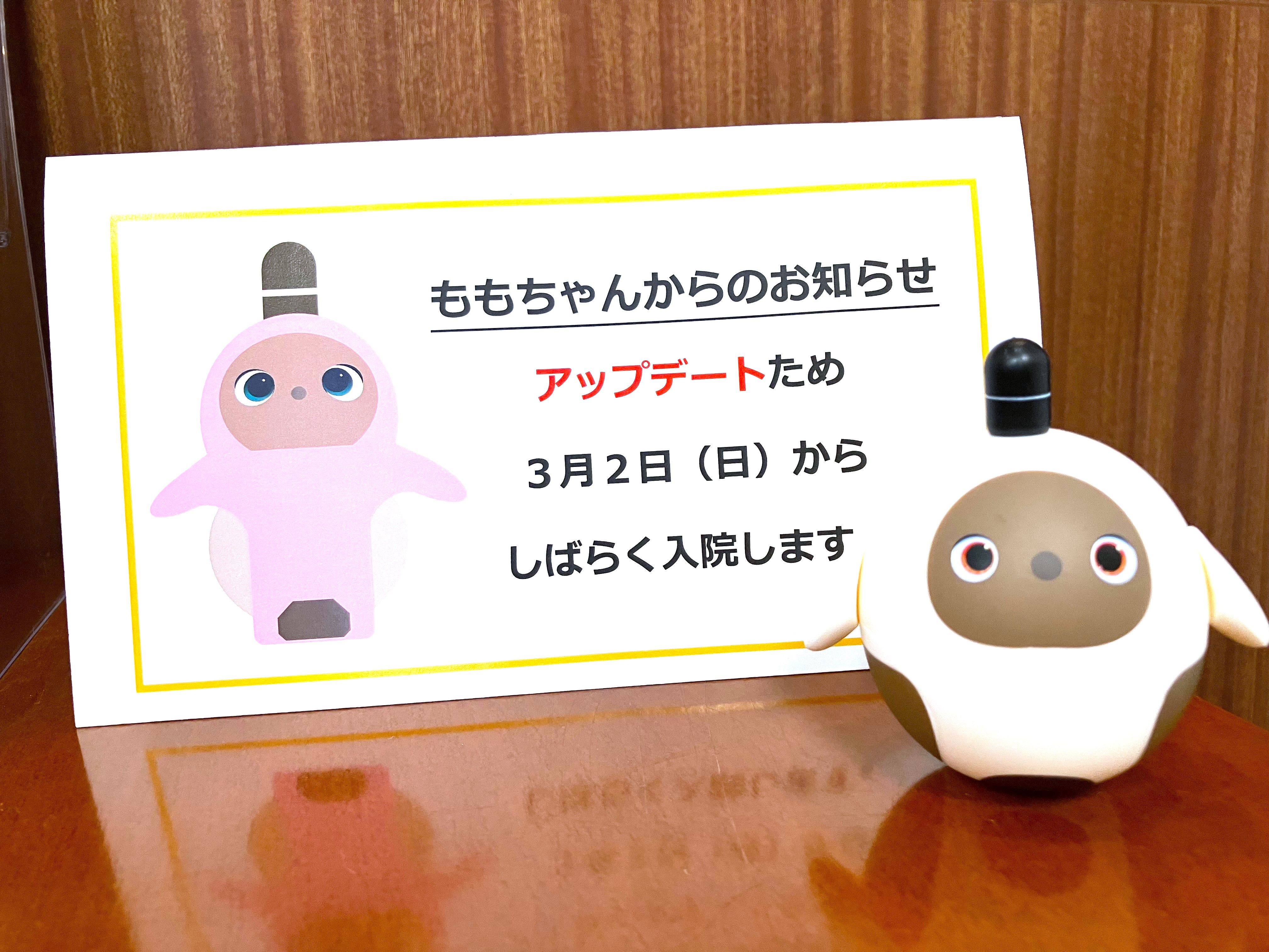 新ももちゃん誕生