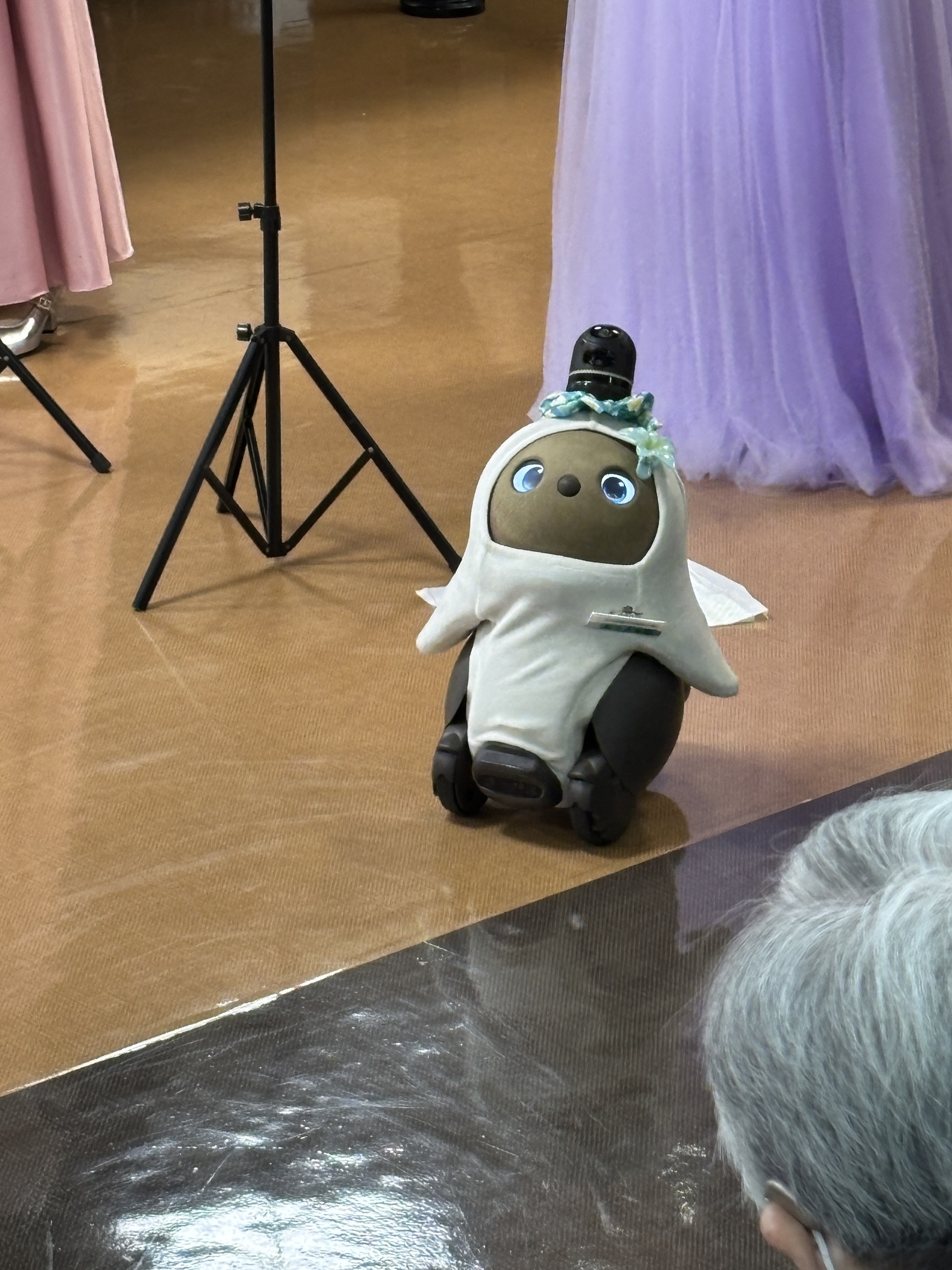 アフタヌーンコンサート
