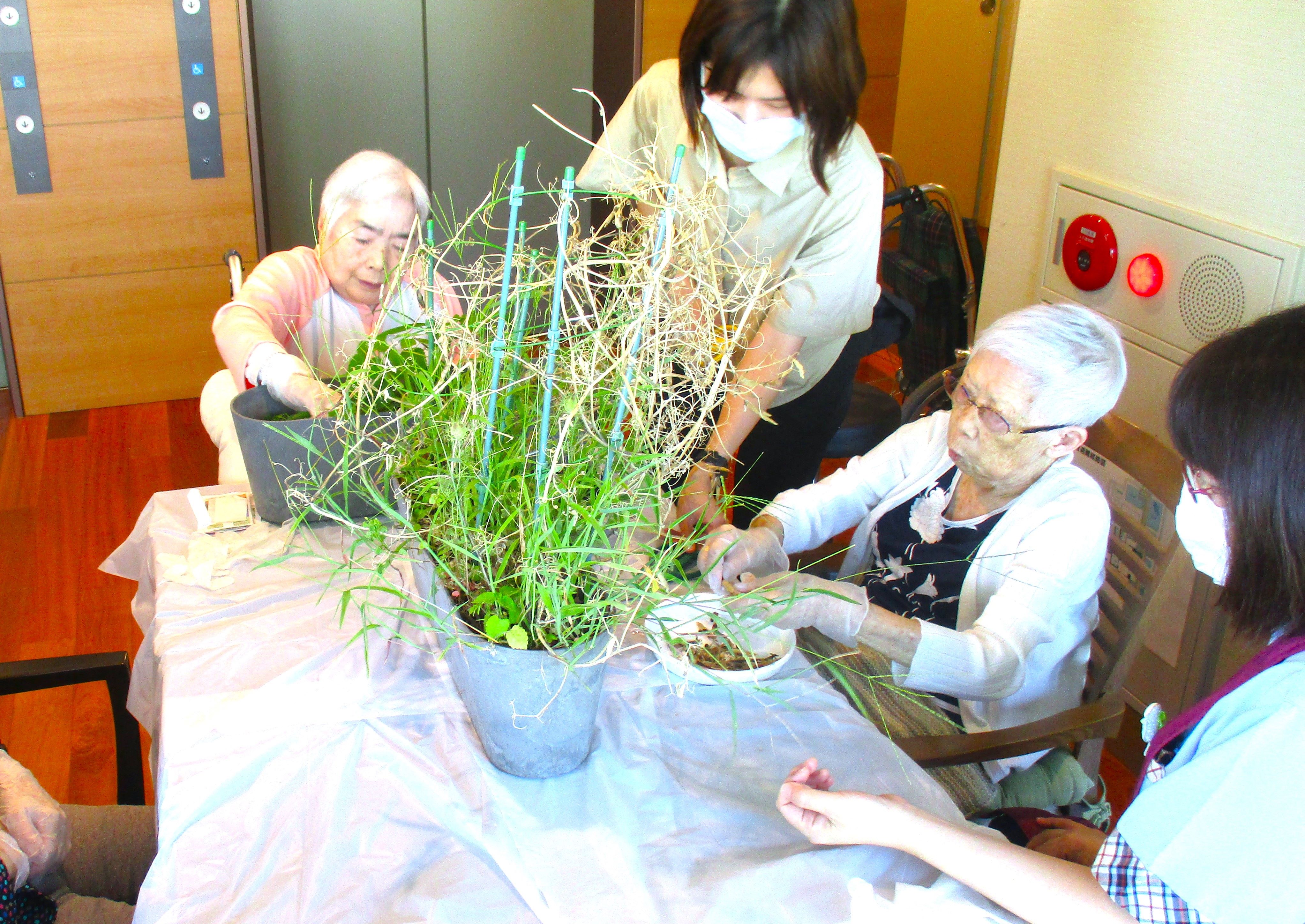 ７月の園芸サークル