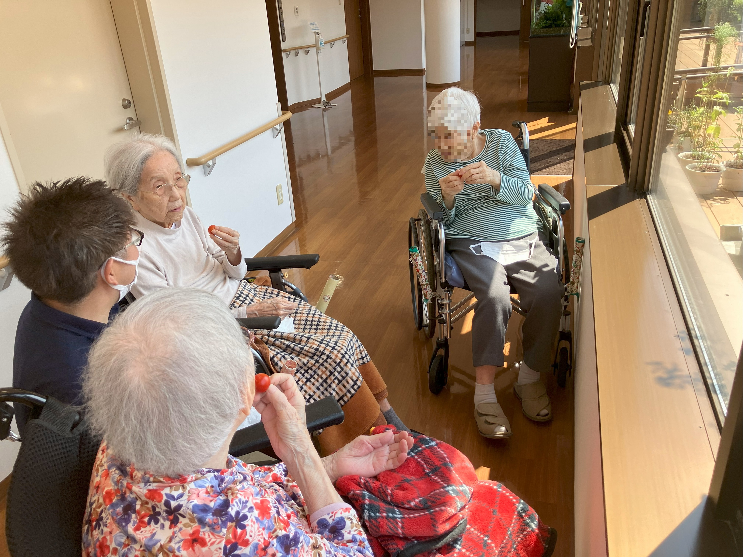 園芸療法と試食会