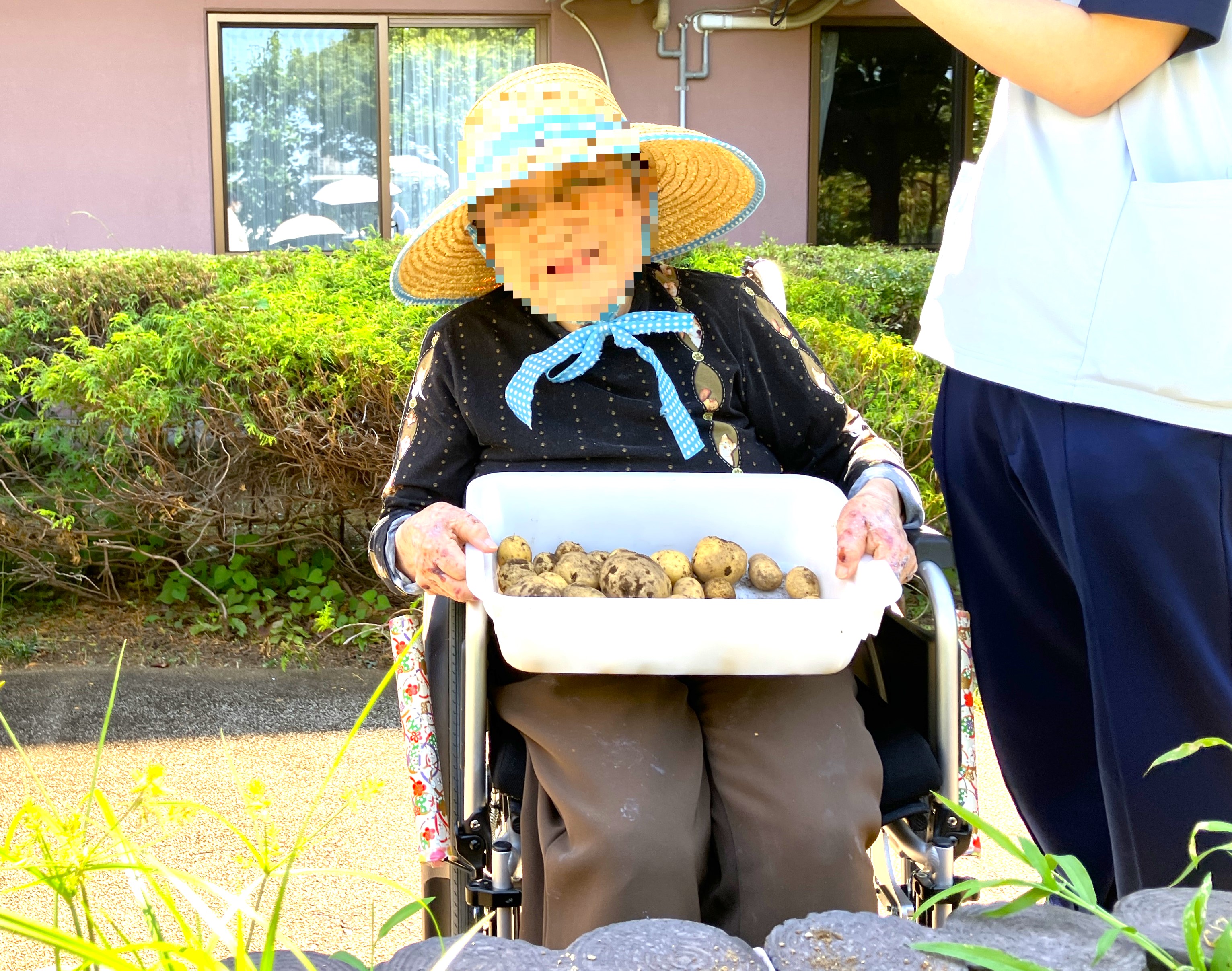 園芸療法