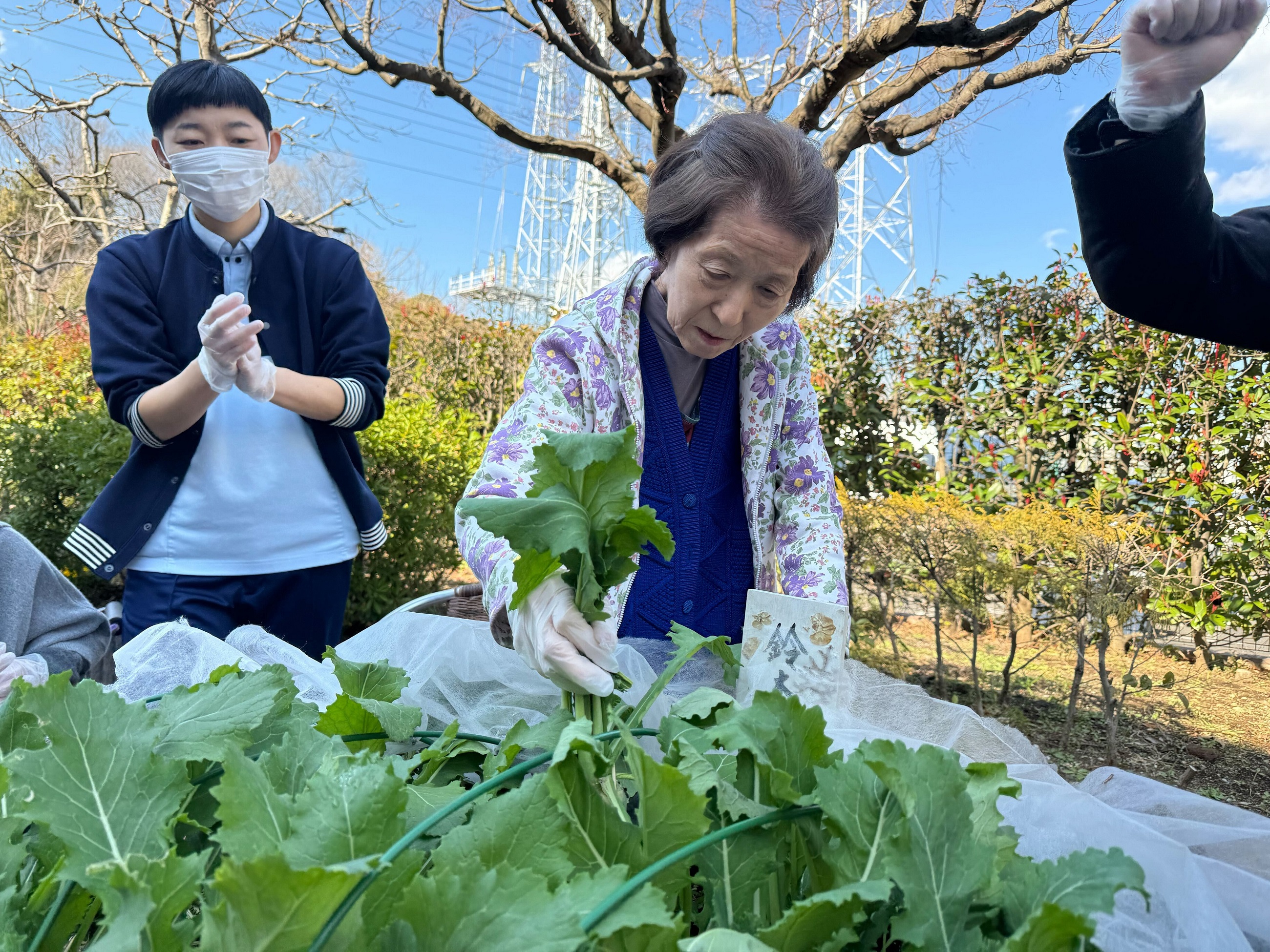 調理セッション