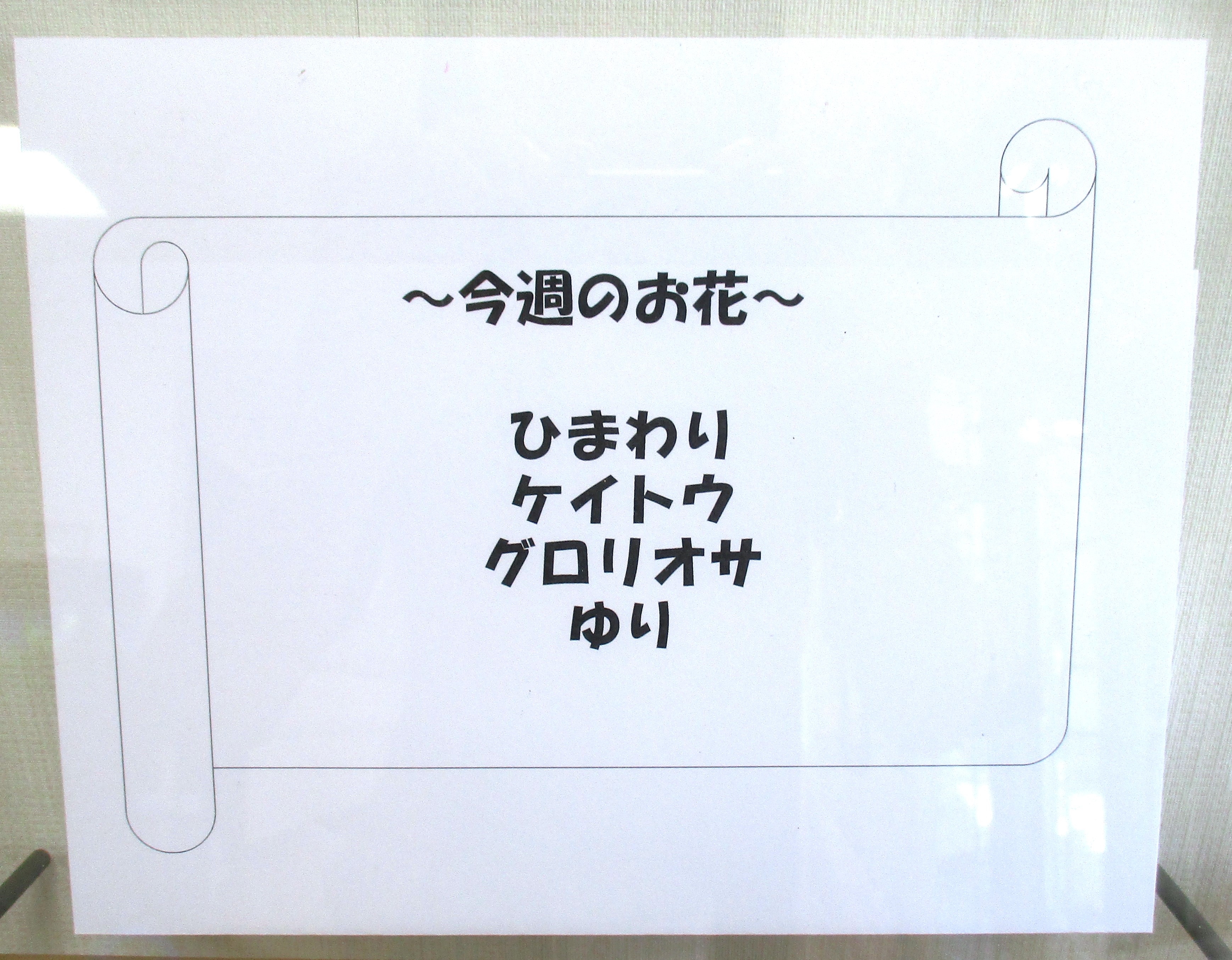 今週のお花