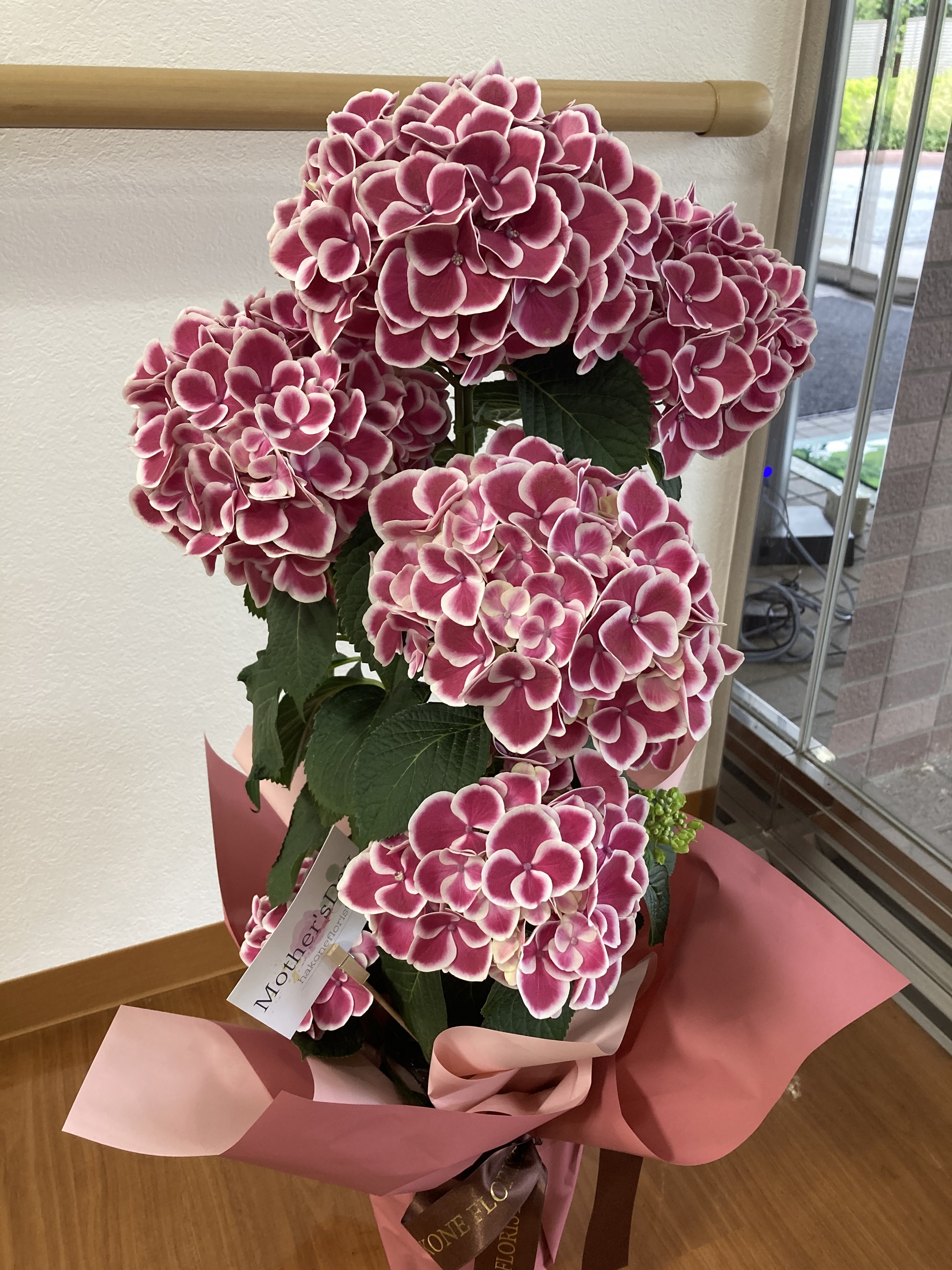 母の日