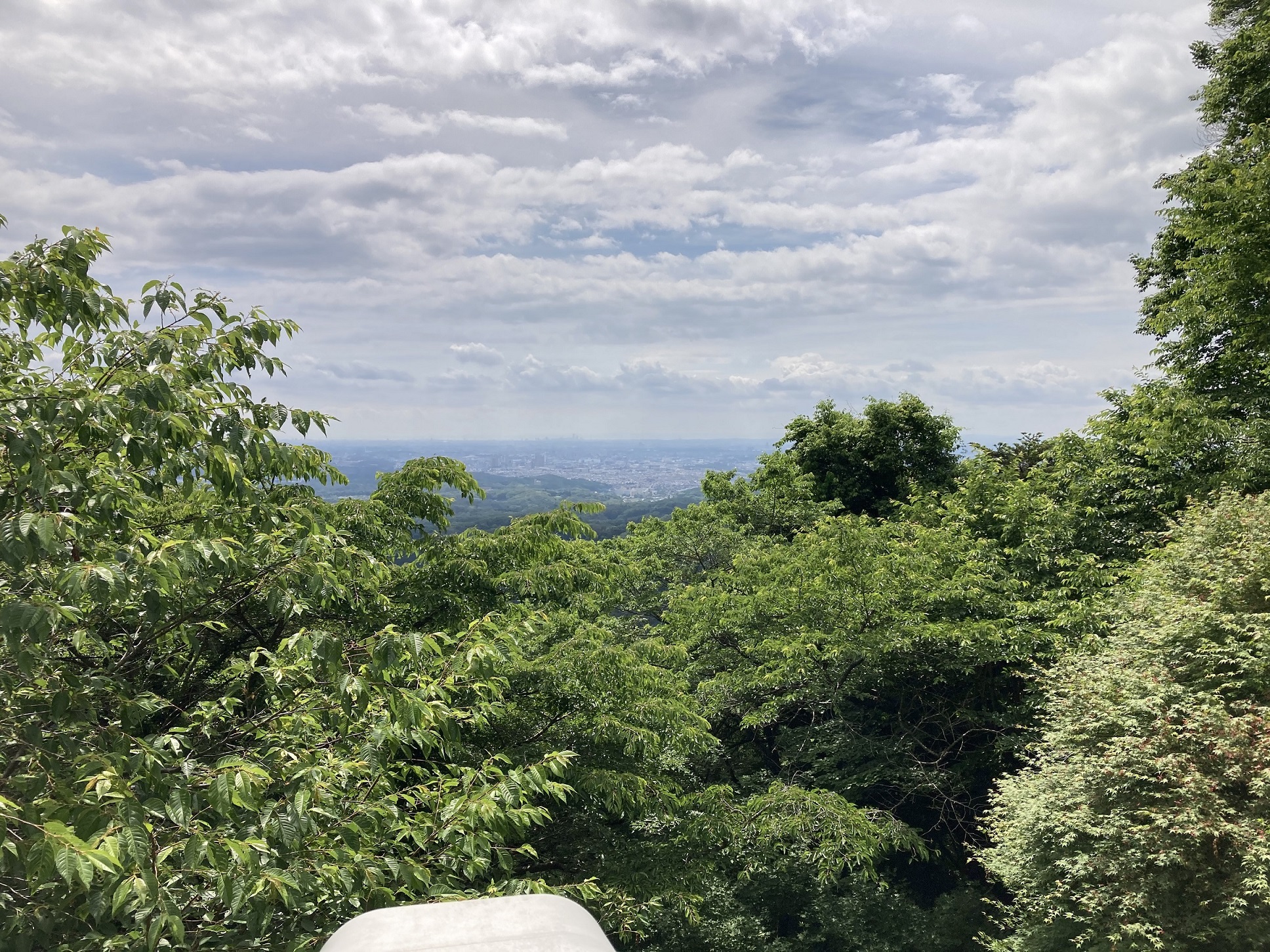 夢の実現（高尾山登山）