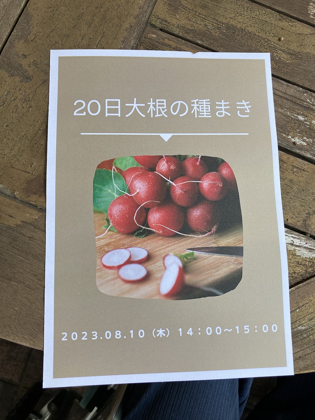 園芸療法