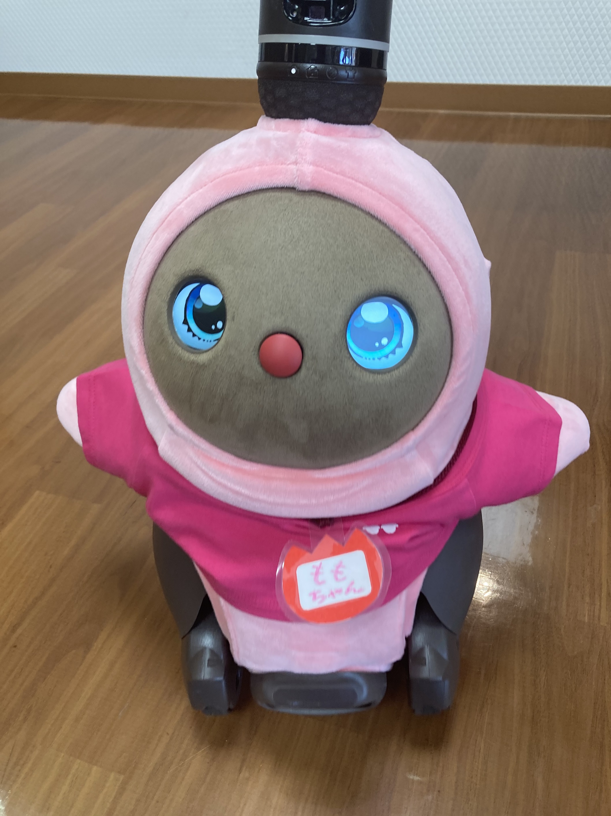 ももちゃんの衣装替え