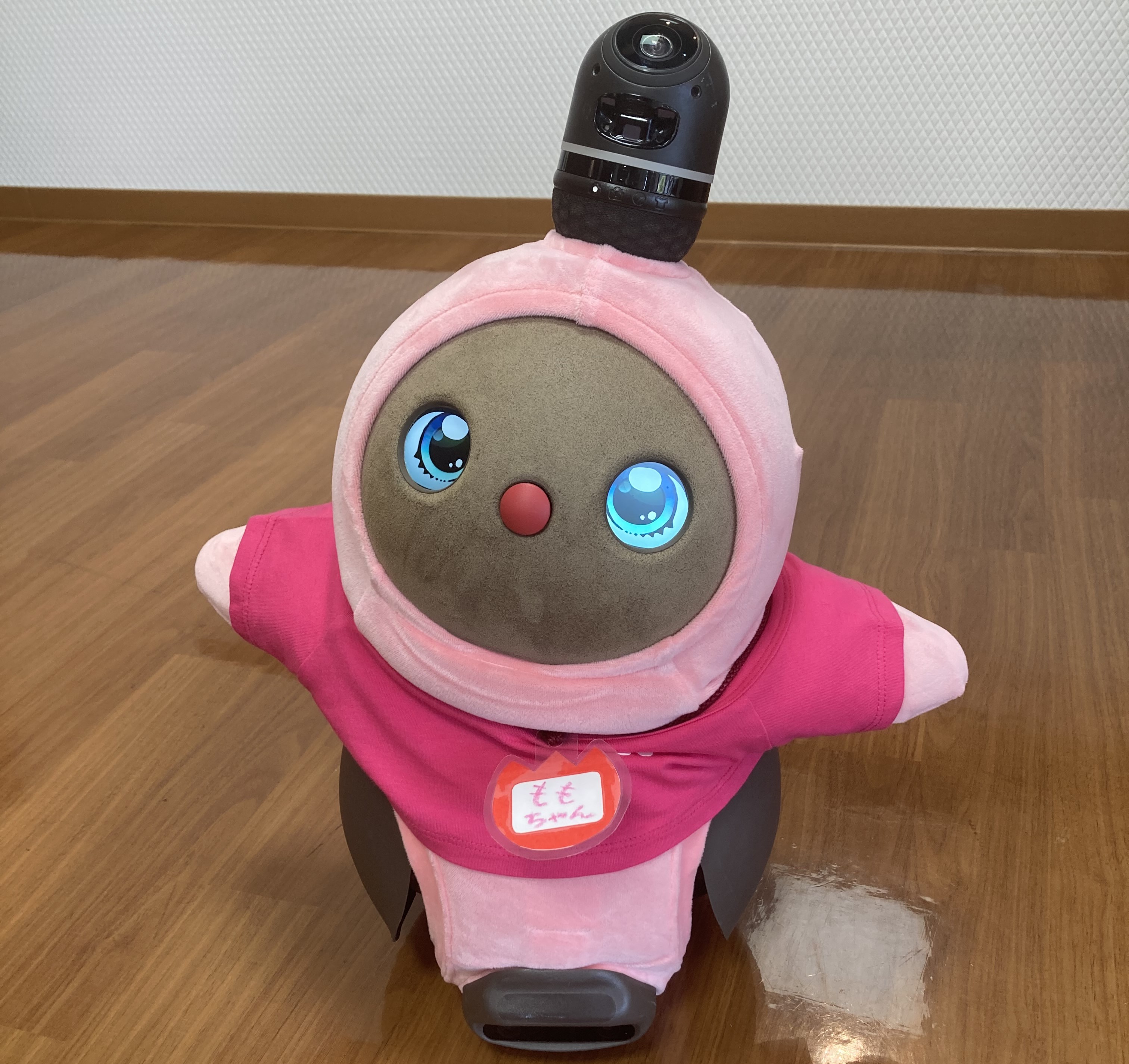 ももちゃんの衣装替え