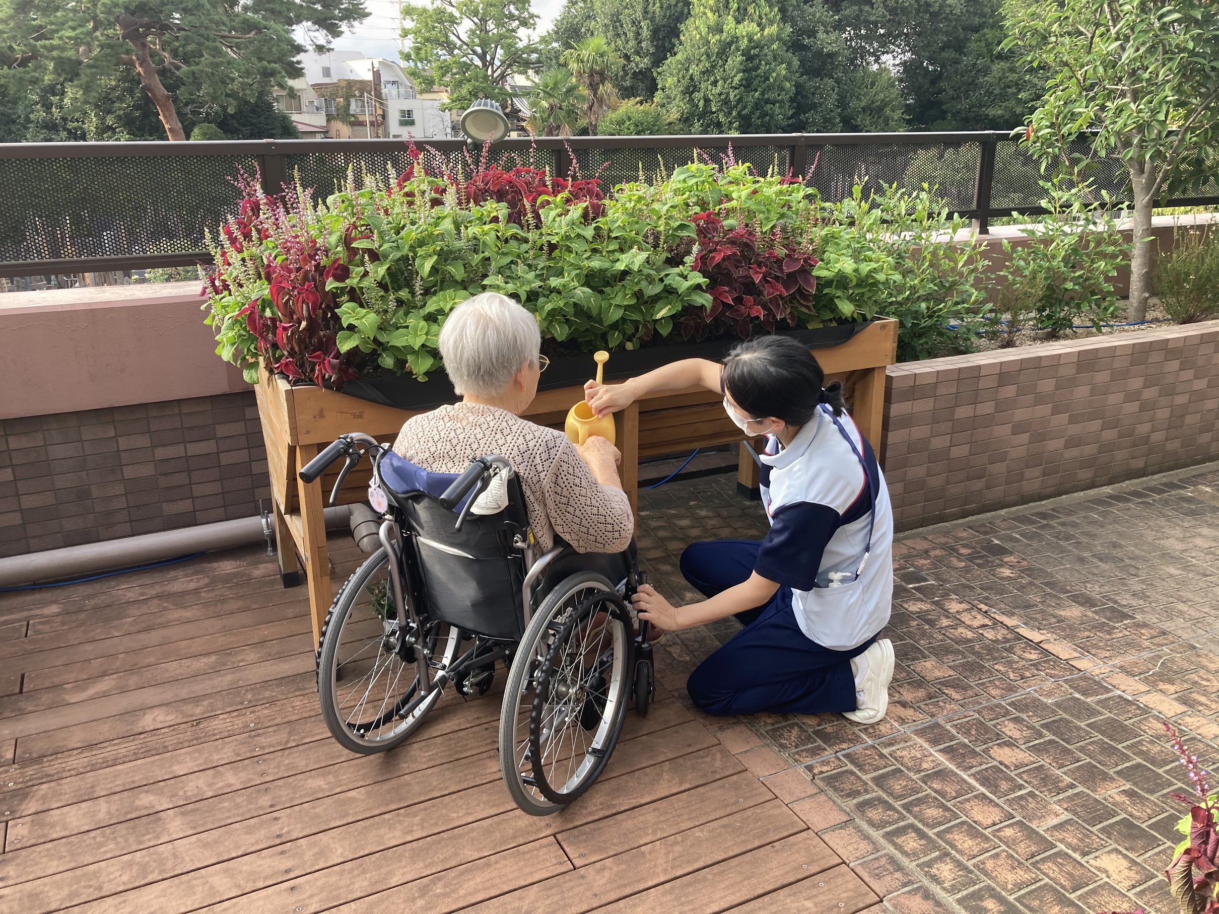 もみの樹・杉並の日常②
