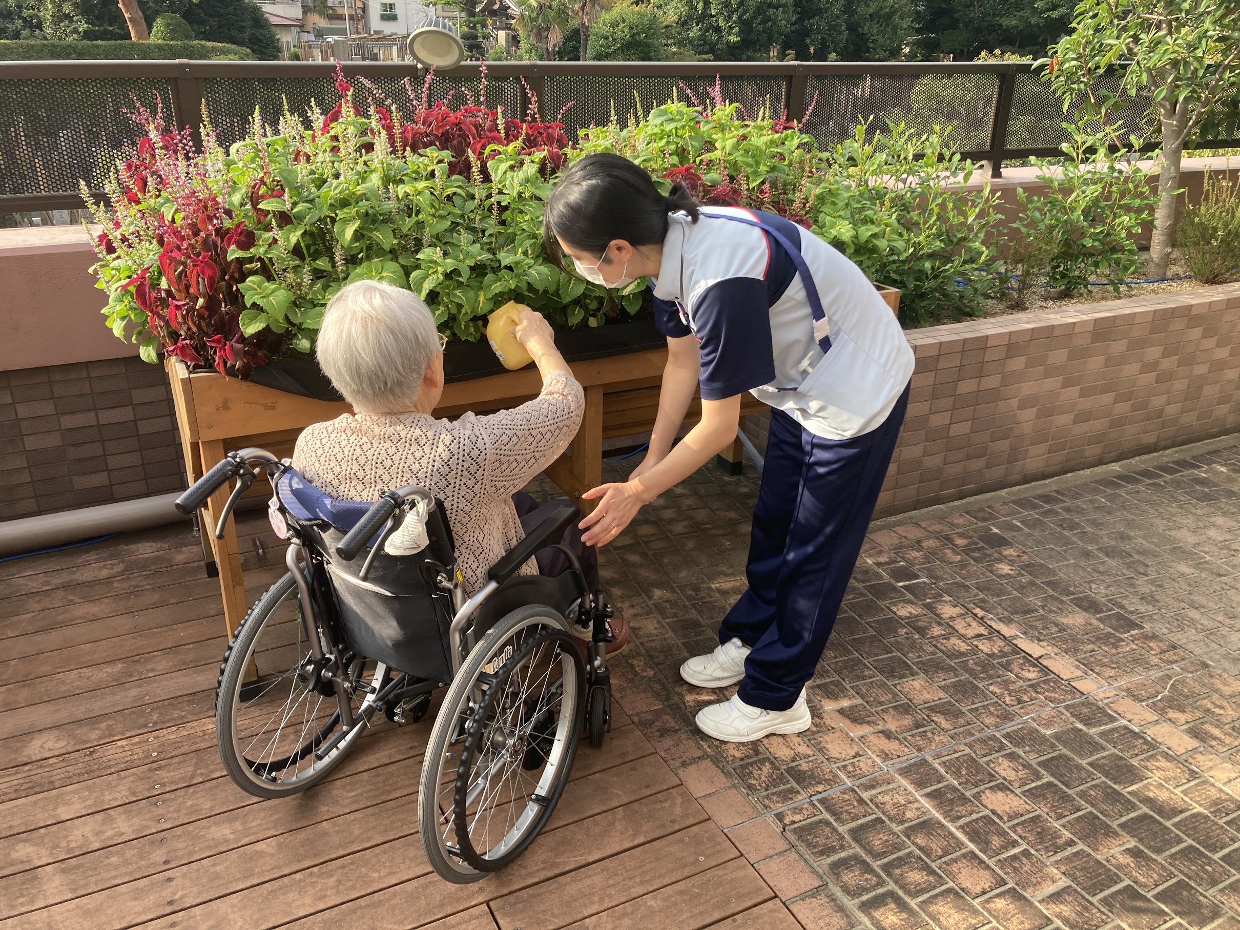 もみの樹・杉並の日常②