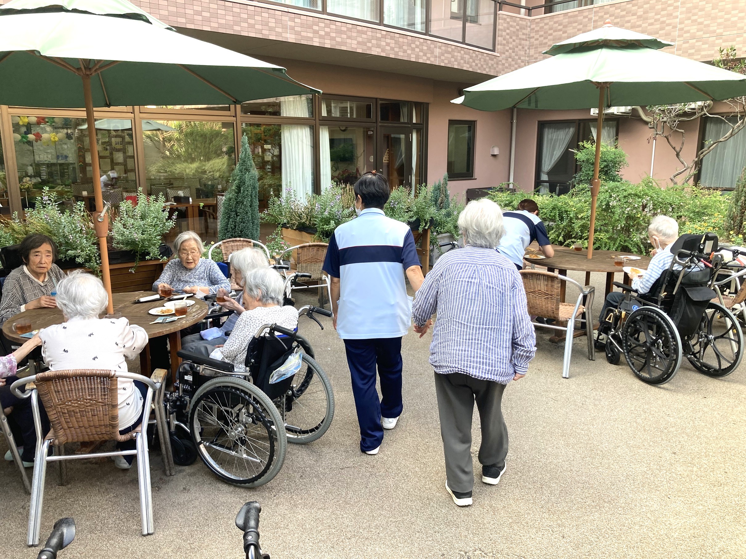 もみの樹・杉並の日常②