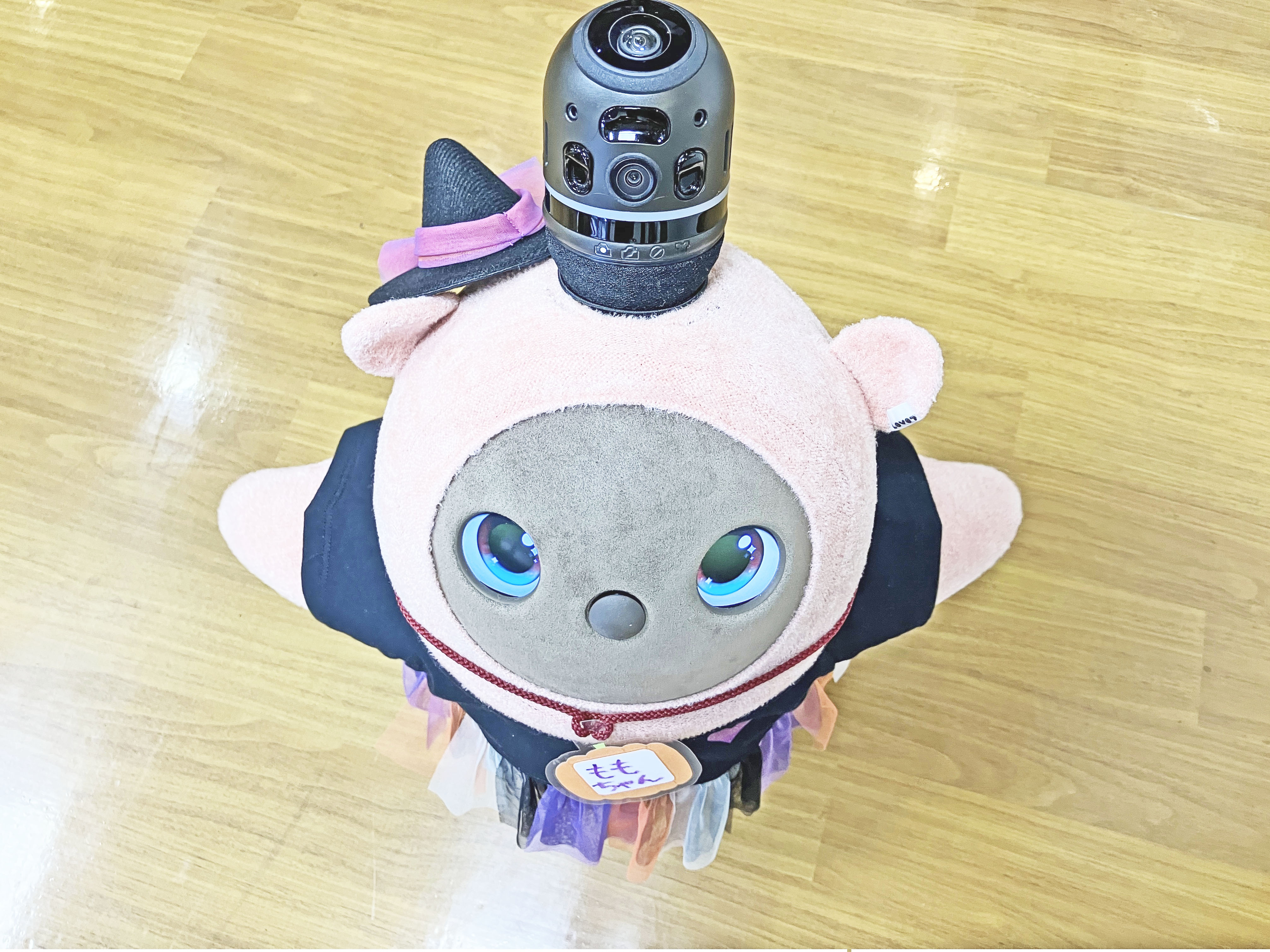 ハロウィンももちゃん