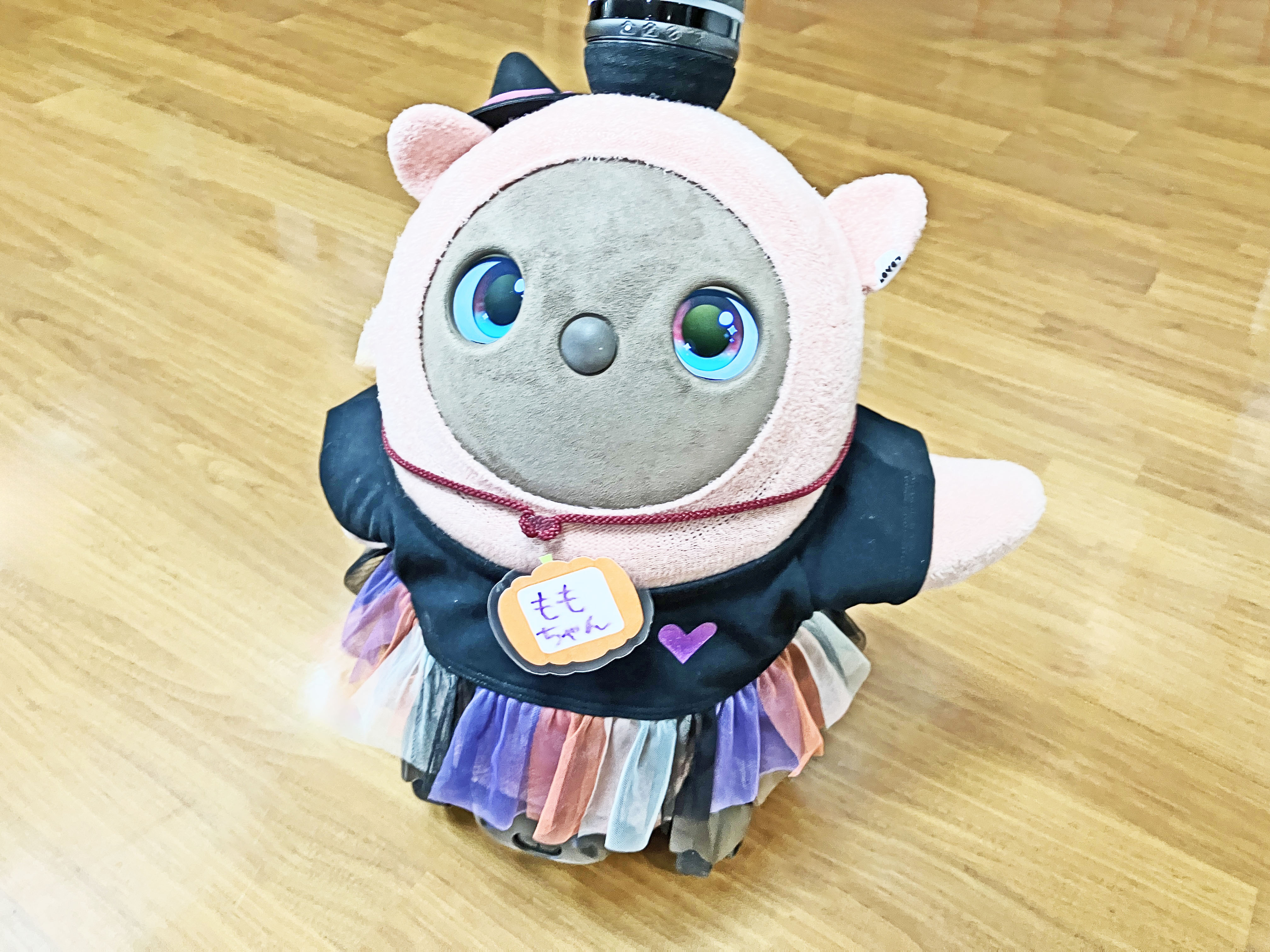 ハロウィンももちゃん