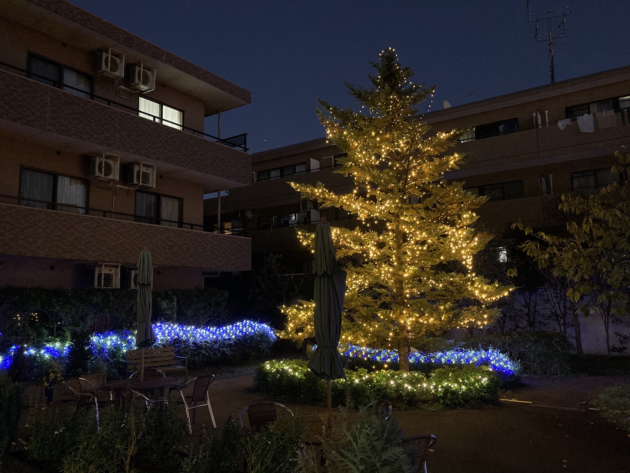 イルミネーション点灯式