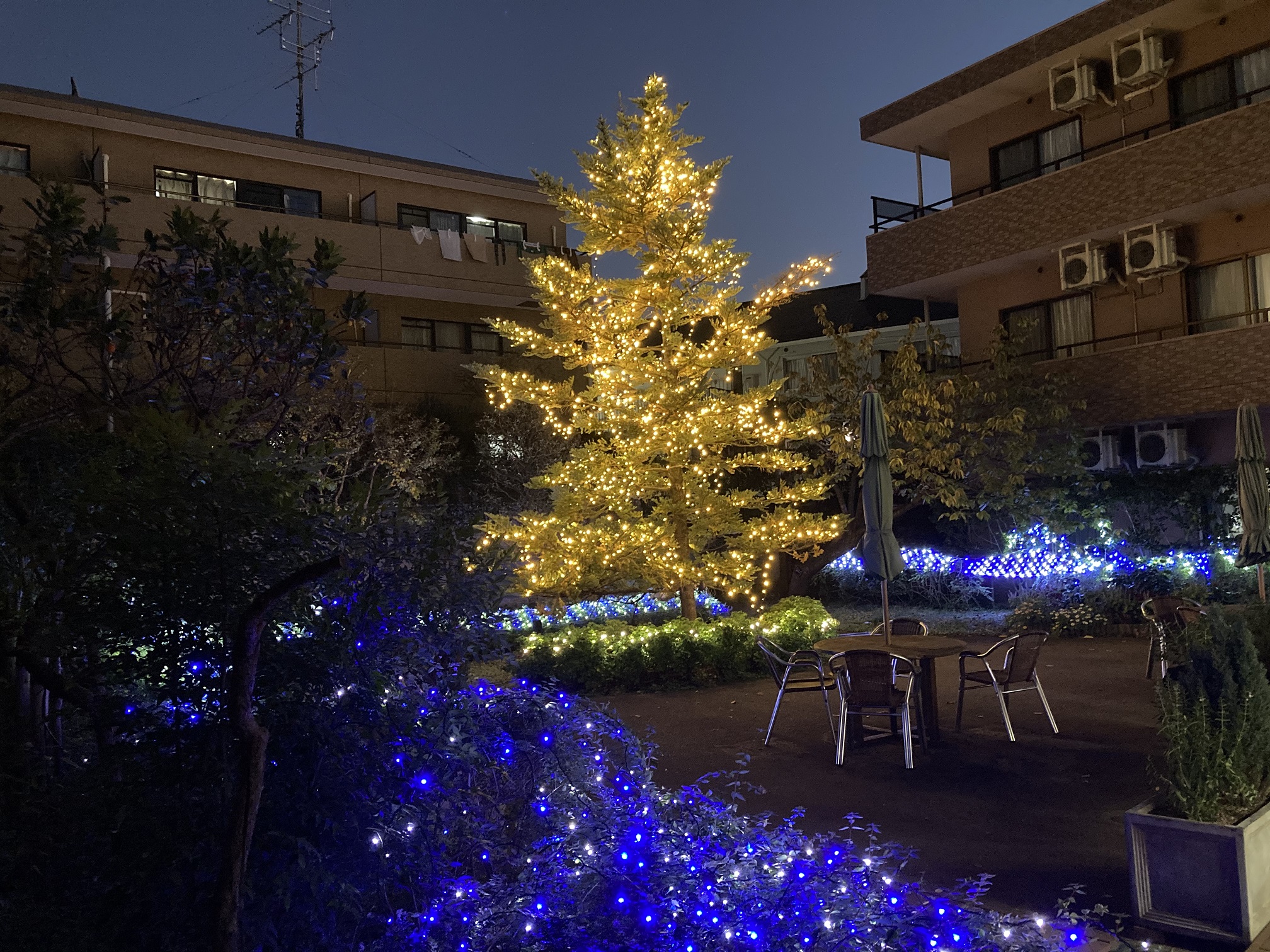 イルミネーション点灯式