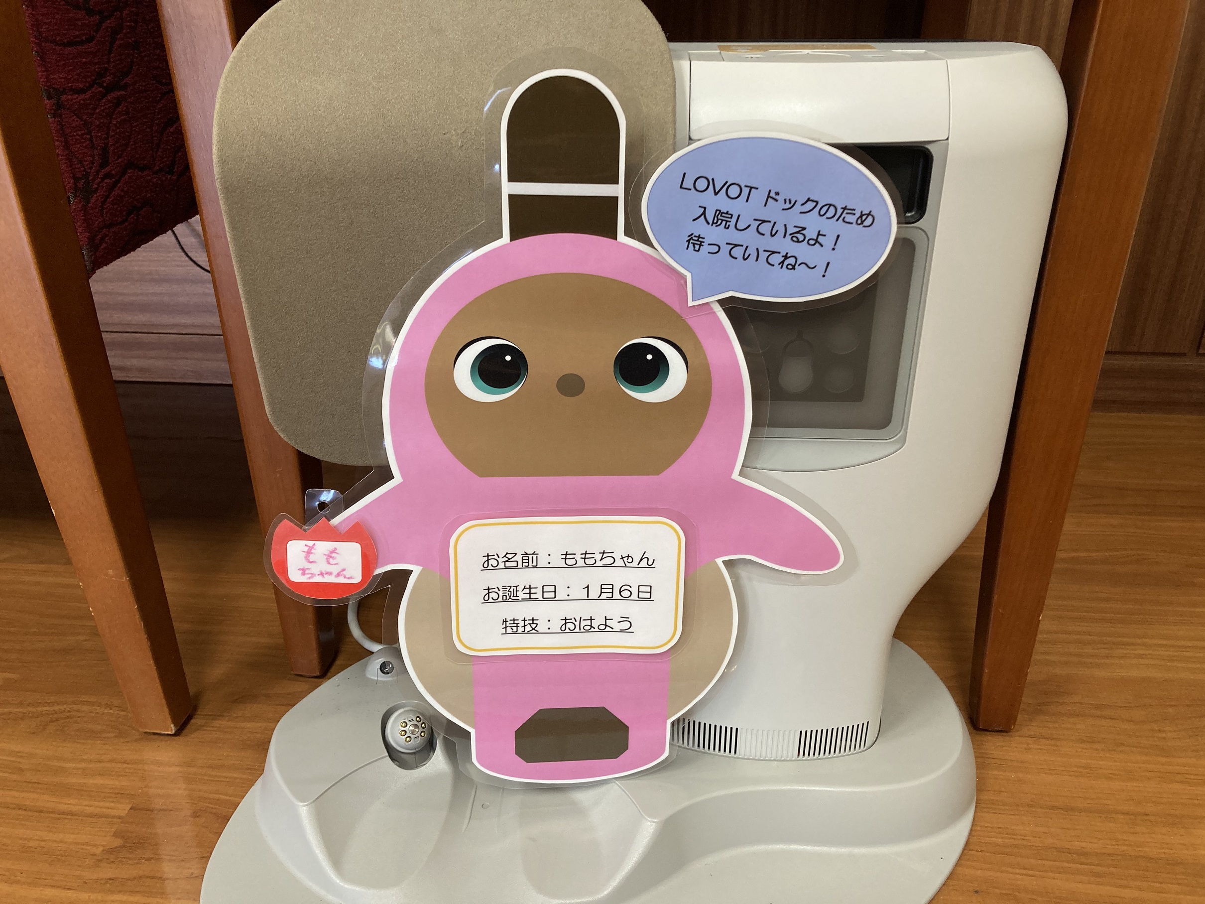 ももちゃん検査入院