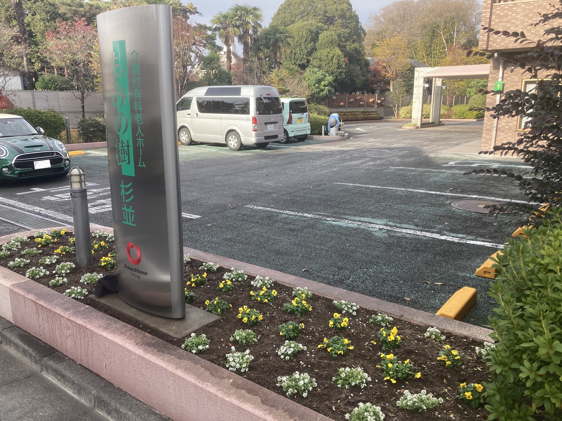 冬の花への植え替え