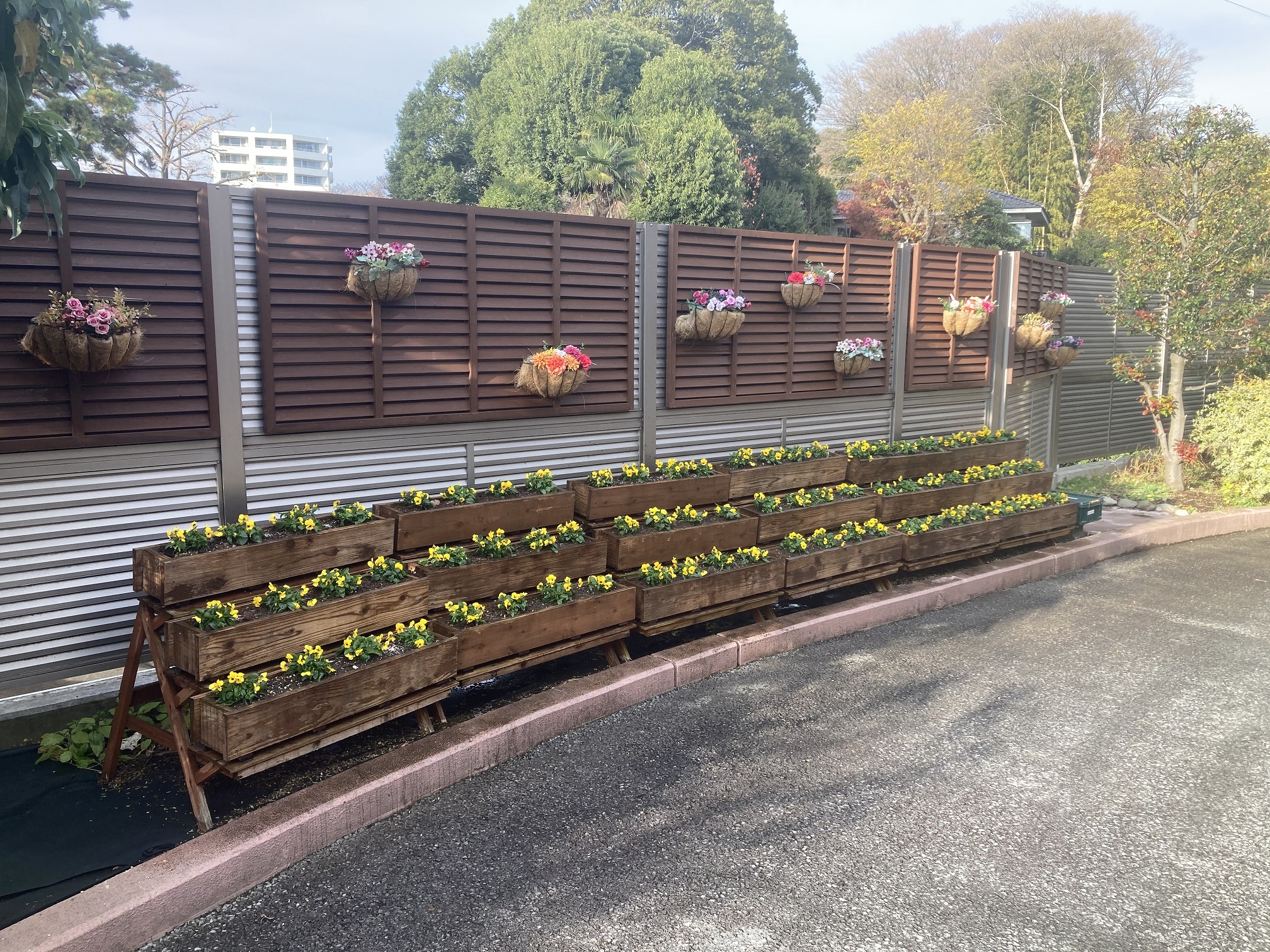 冬の花への植え替え