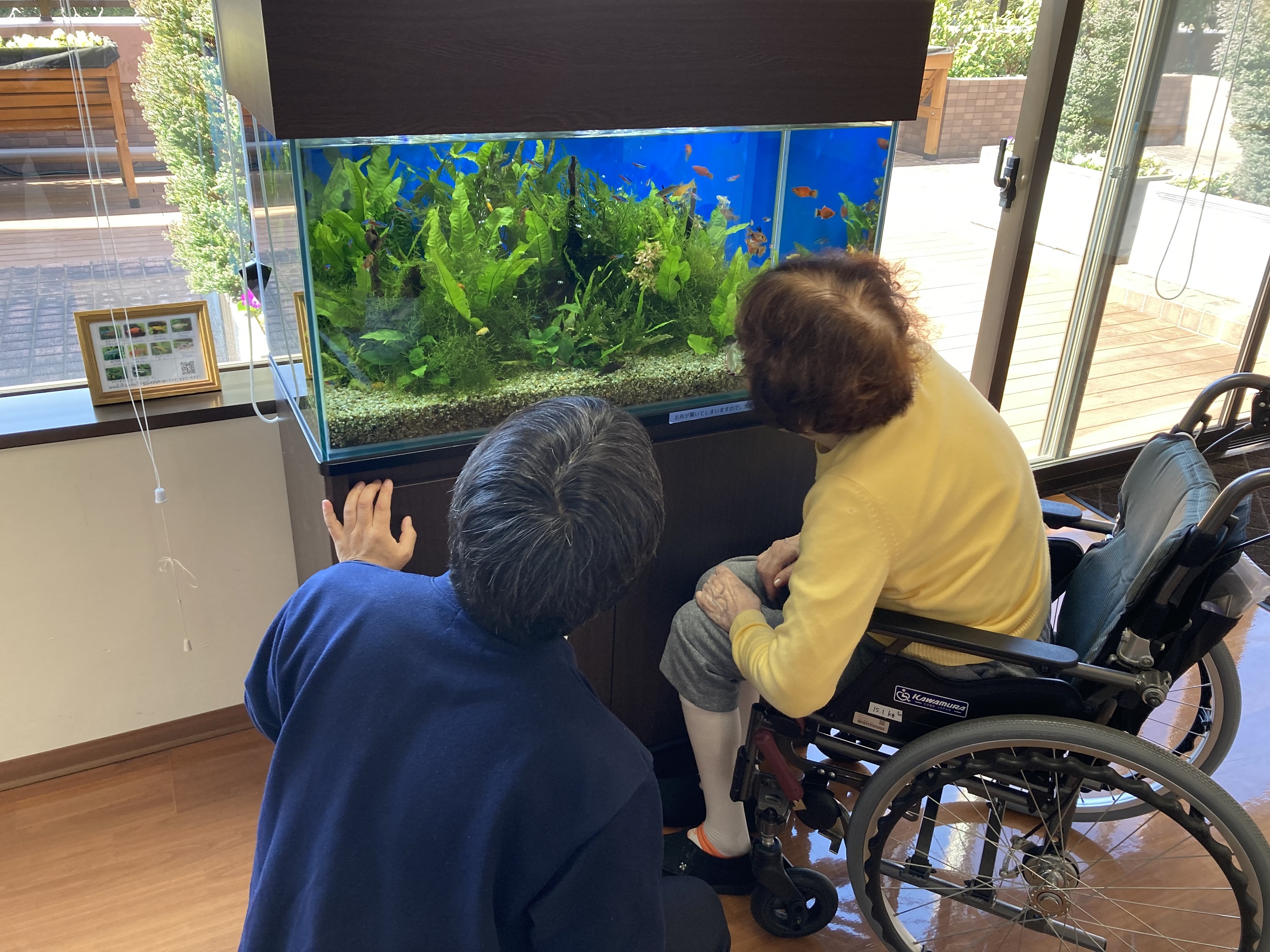 とある一日