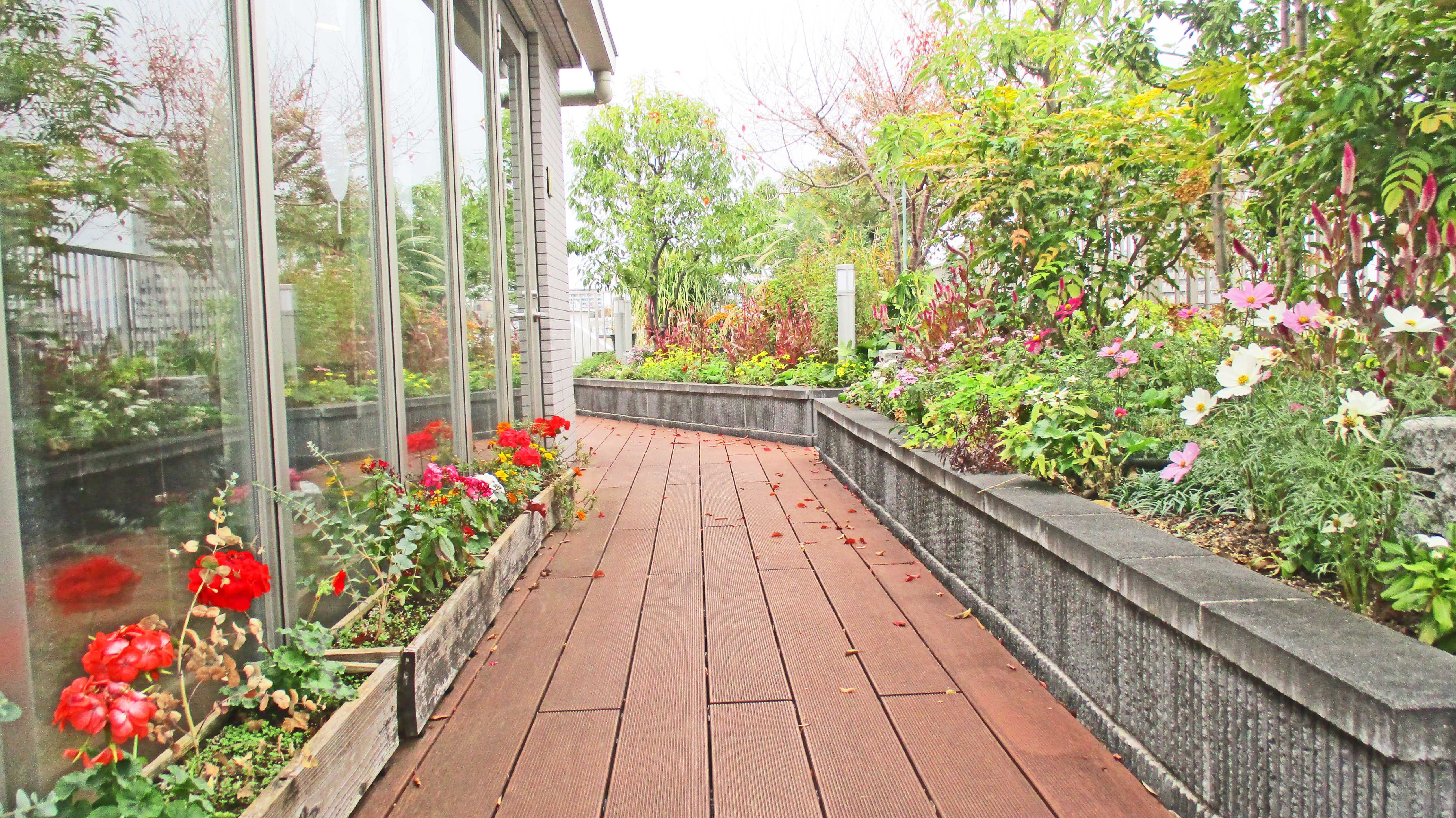 屋上庭園に冬の足音