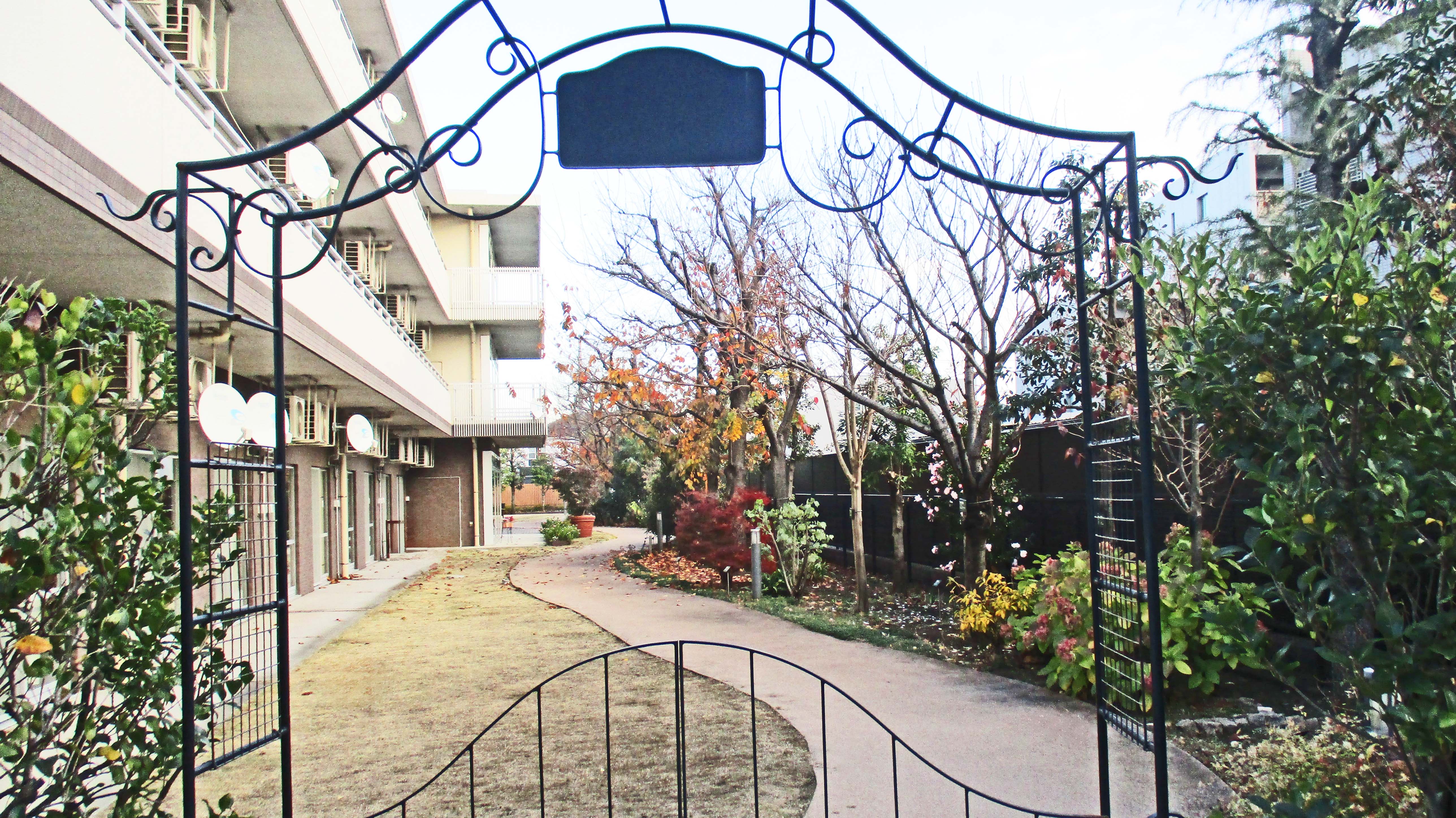 中庭のハリネズミを探せ