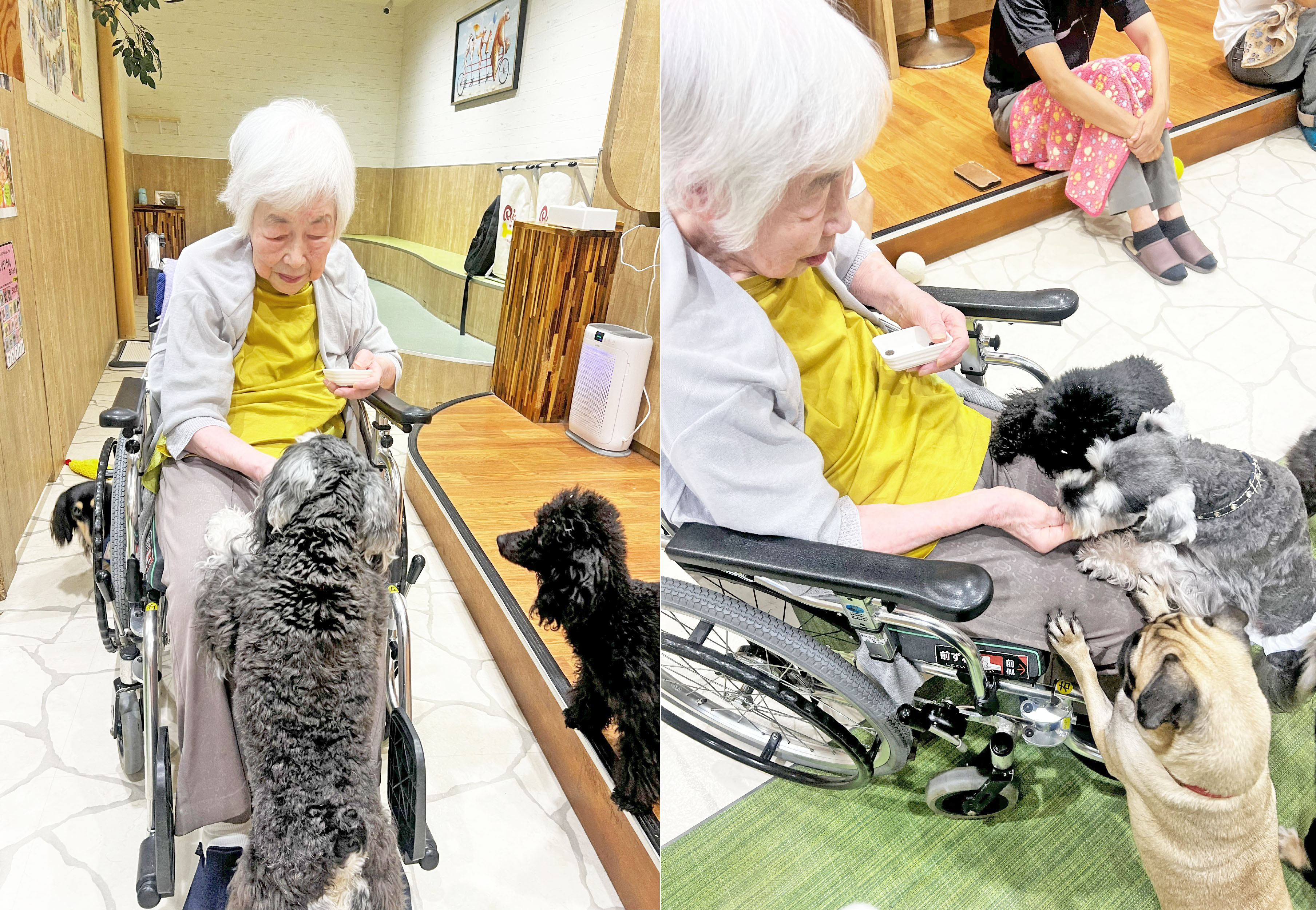 外部リハビリ~犬と触れ合いたい~